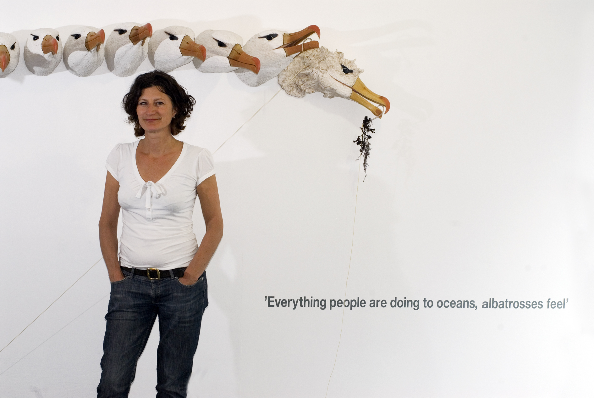 Albatross Project by Gail Dooley Depicts 19 lifesize wall hanging Albatross Heads arranged to the size and shape of an albatross wingspan