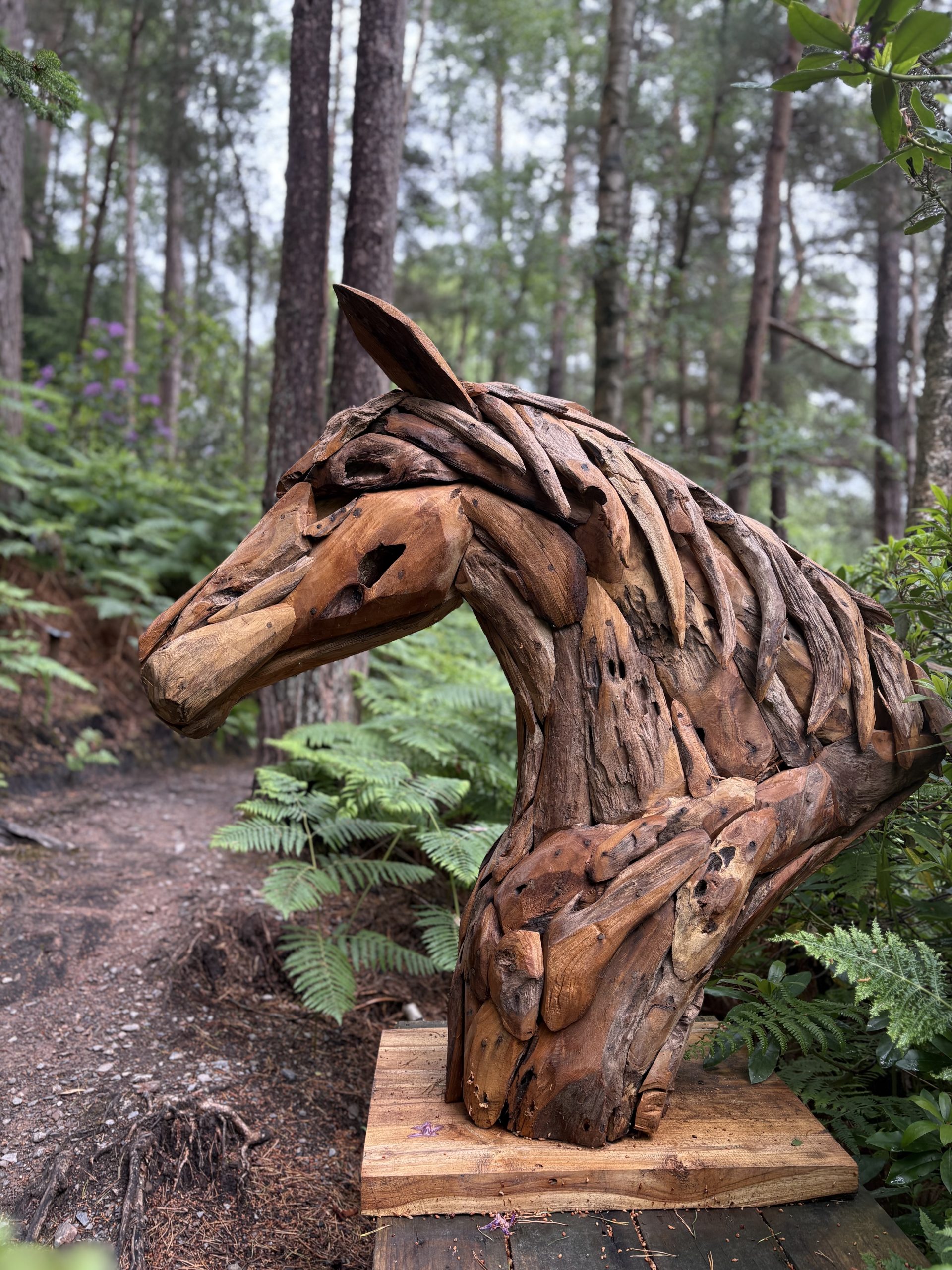 Teak Root Wood Sculpture of a Horses Head