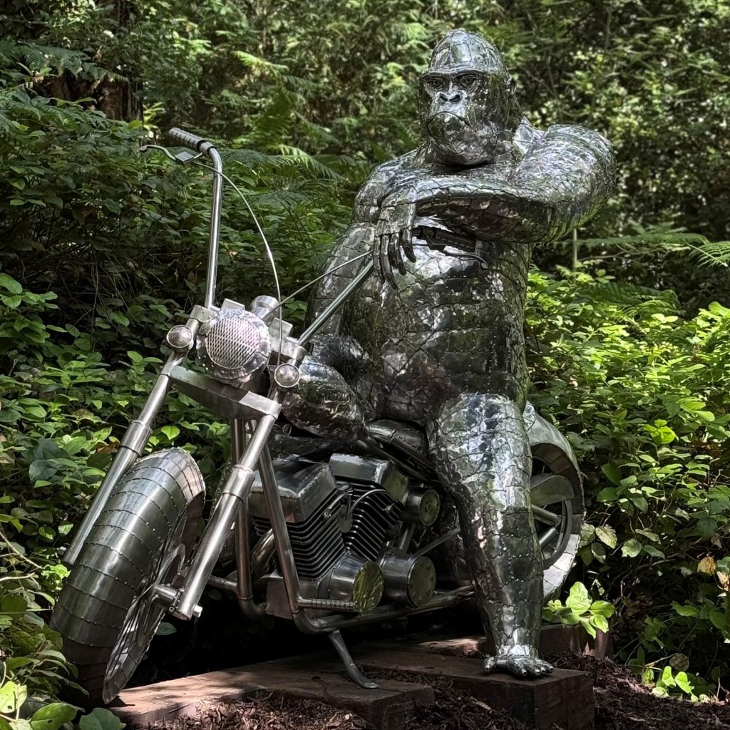 Michael-Turner-Motorcycling-