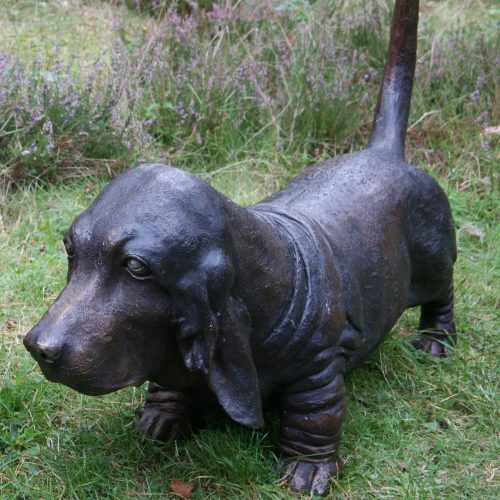 Bassett Hound by John Cox. Larger than life, realistic bronze sculpture of a bassett hound dog.