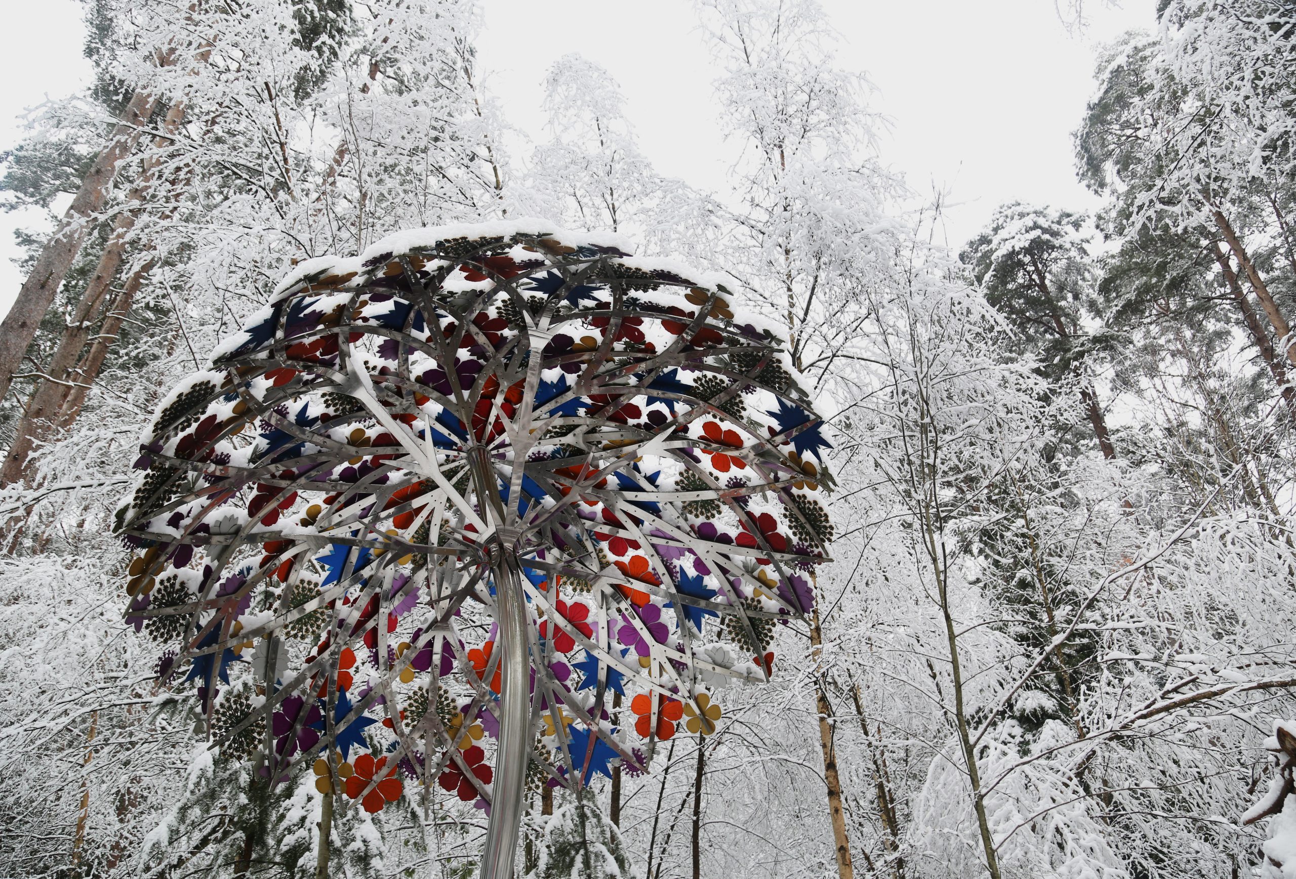 Ruth Moilliet's Canopy at The Sculpture Park in the snow
