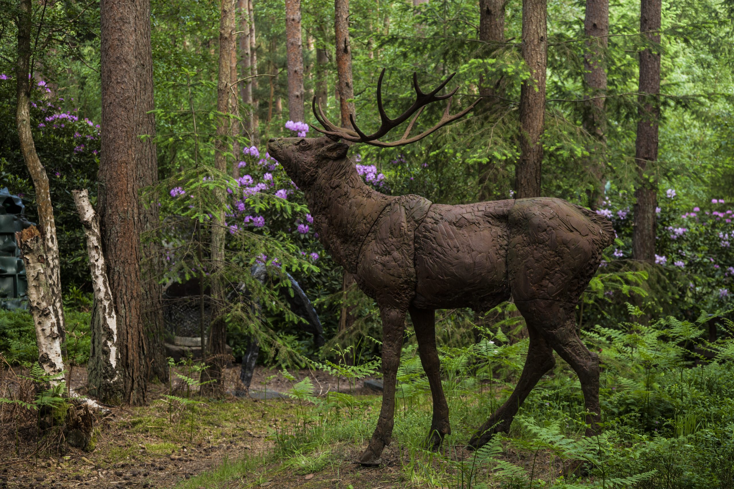 Stag by Dido Crosby, The Sculpture Park (2)