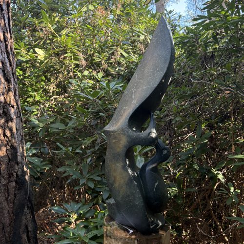 Powerful and Emotional by Andamiyo Chihota is a Zimbabwean Shona Stone sculpture of two simple birds, one with wings open and one closed