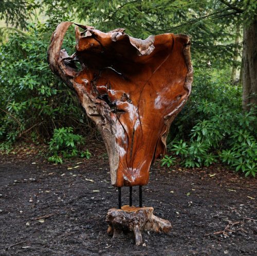 Freeform by Mother Nature is a free-standing natural wood sculpture, created in nature hense the artist has been named as Mother Nature