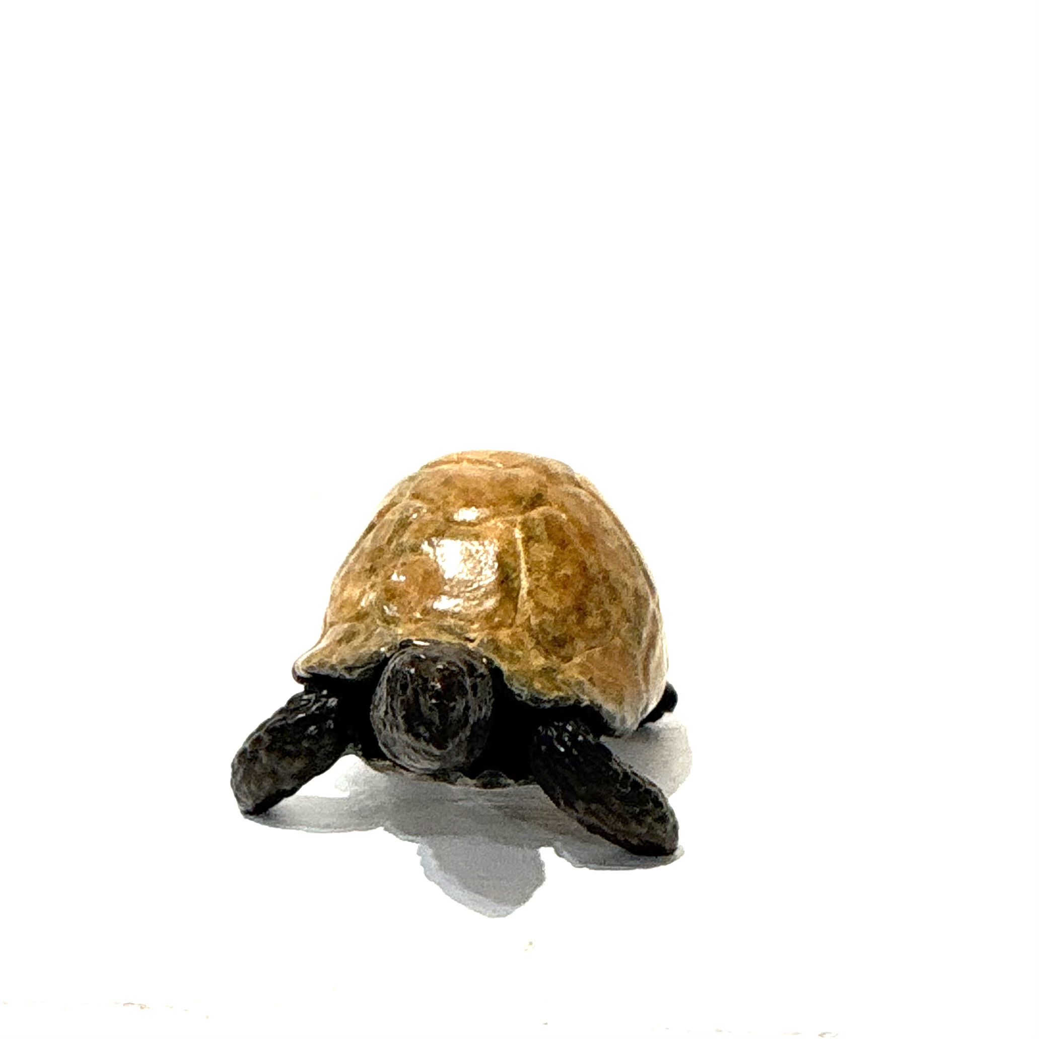 Tortoise by Steve Langford. Small bronze sculpture of a tortoise.