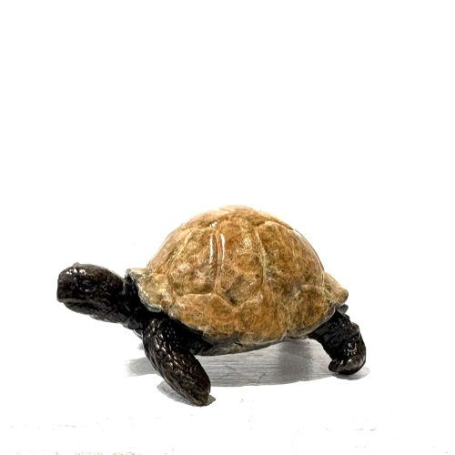 Tortoise by Steve Langford. Small bronze sculpture of a tortoise.