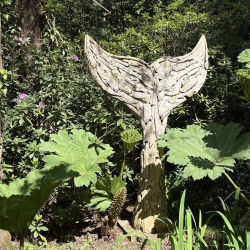 Whale Tail. Unique driftwood sculpture of a monumental sized tail of a whale.