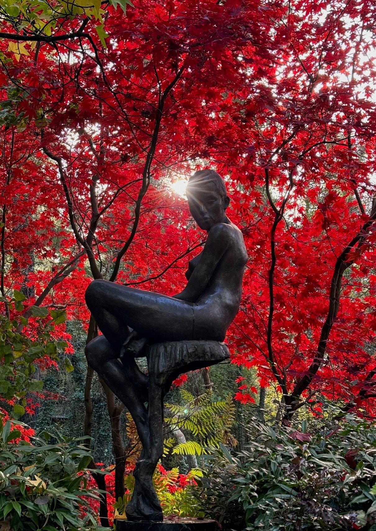 Autumn at The Sculpture Park plazzotta