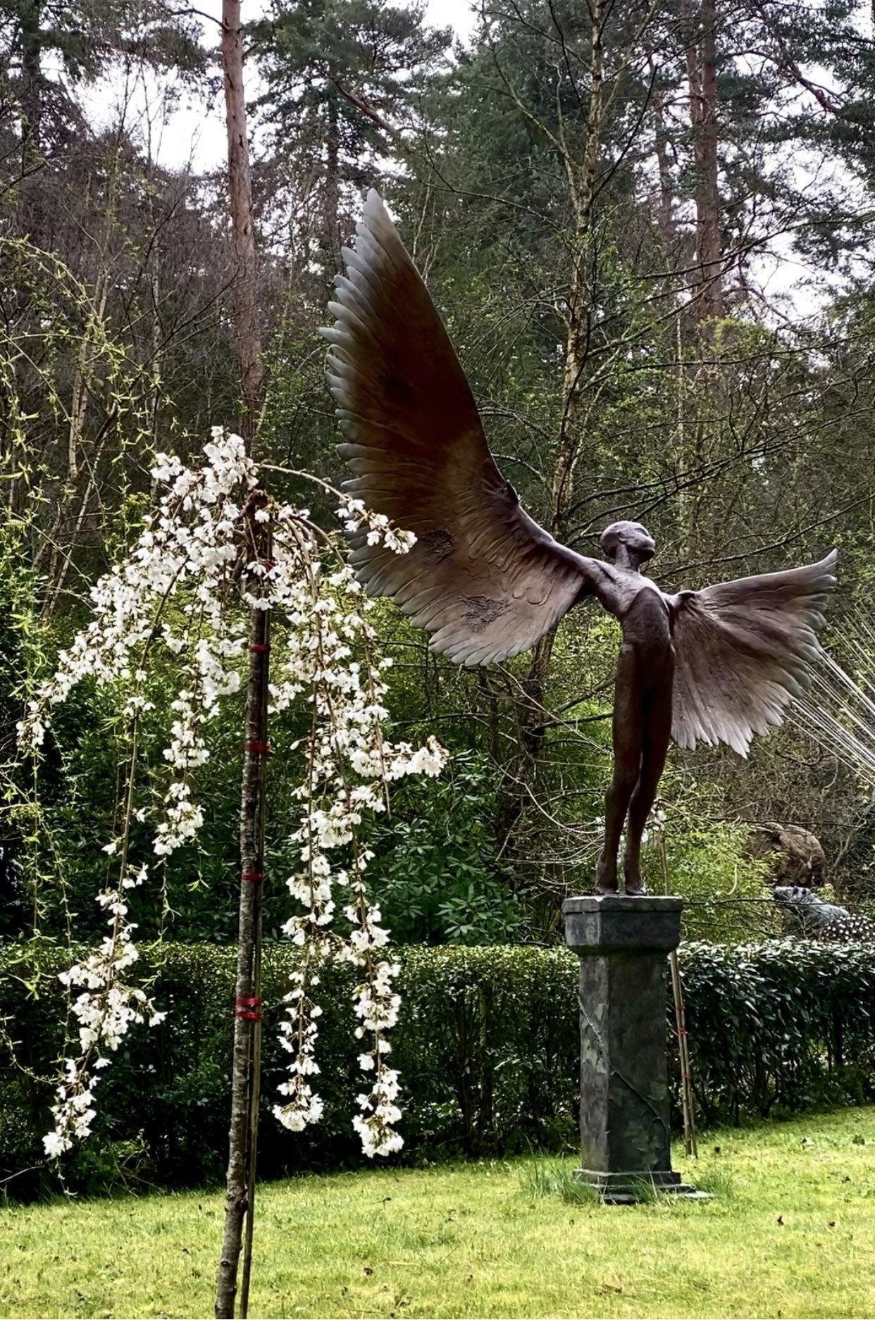 Icarus I by Nicola Godden at The Sculpture Park in Spring