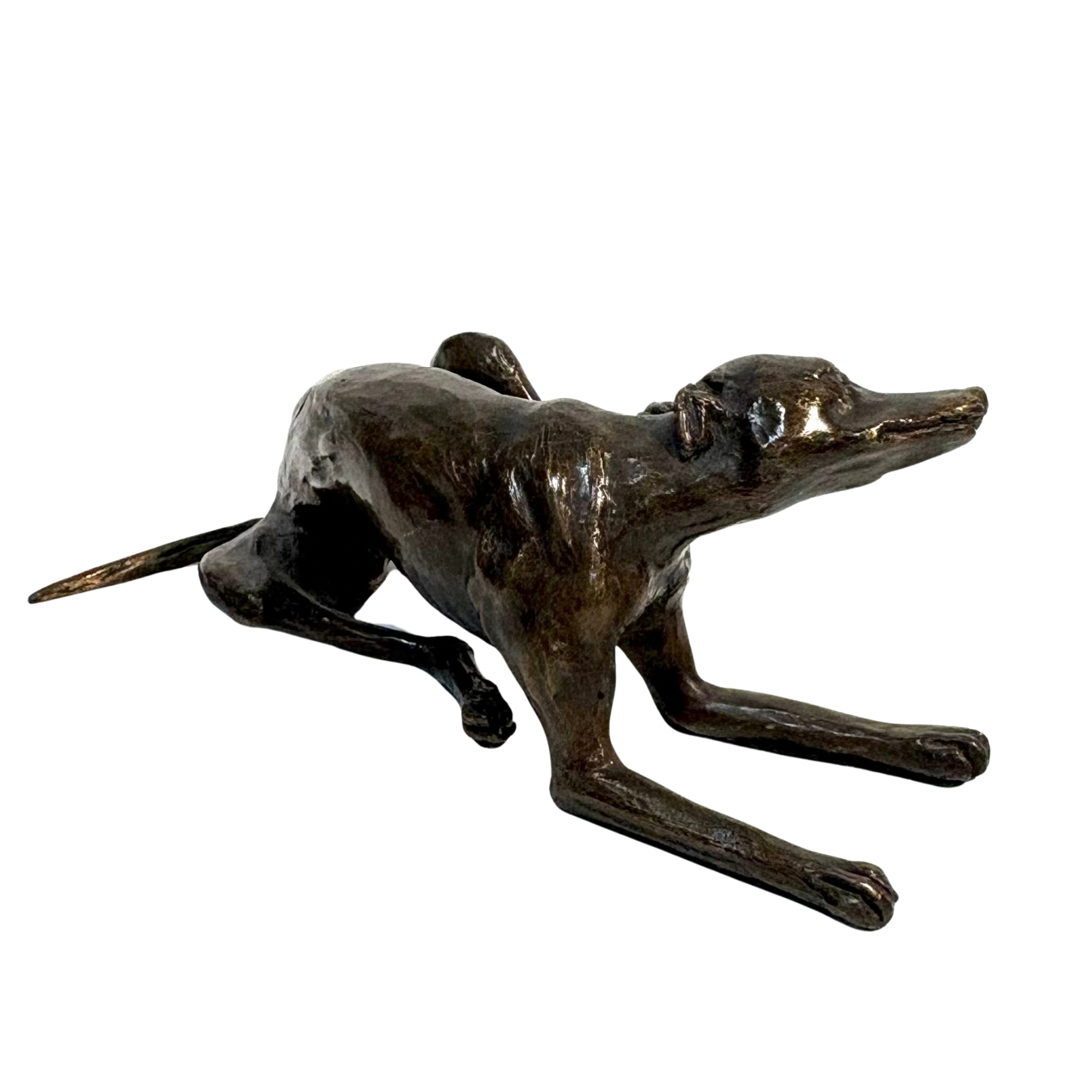 Whippet Scratching by Steve Boss, a figurative bronze sculpture of a whippet dog scratching its ear with its back leg.