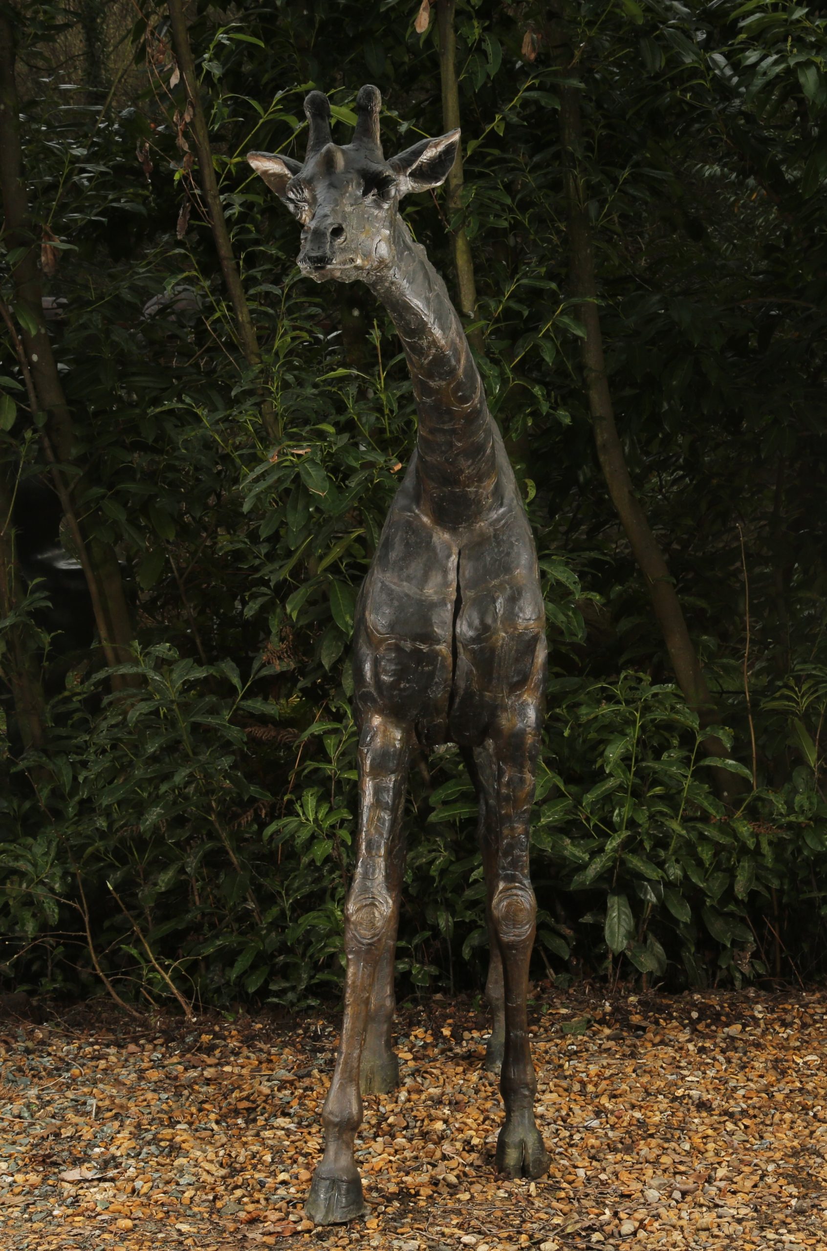 Large Bronze Giraffe Sculpture - Giraffe I - Image 4