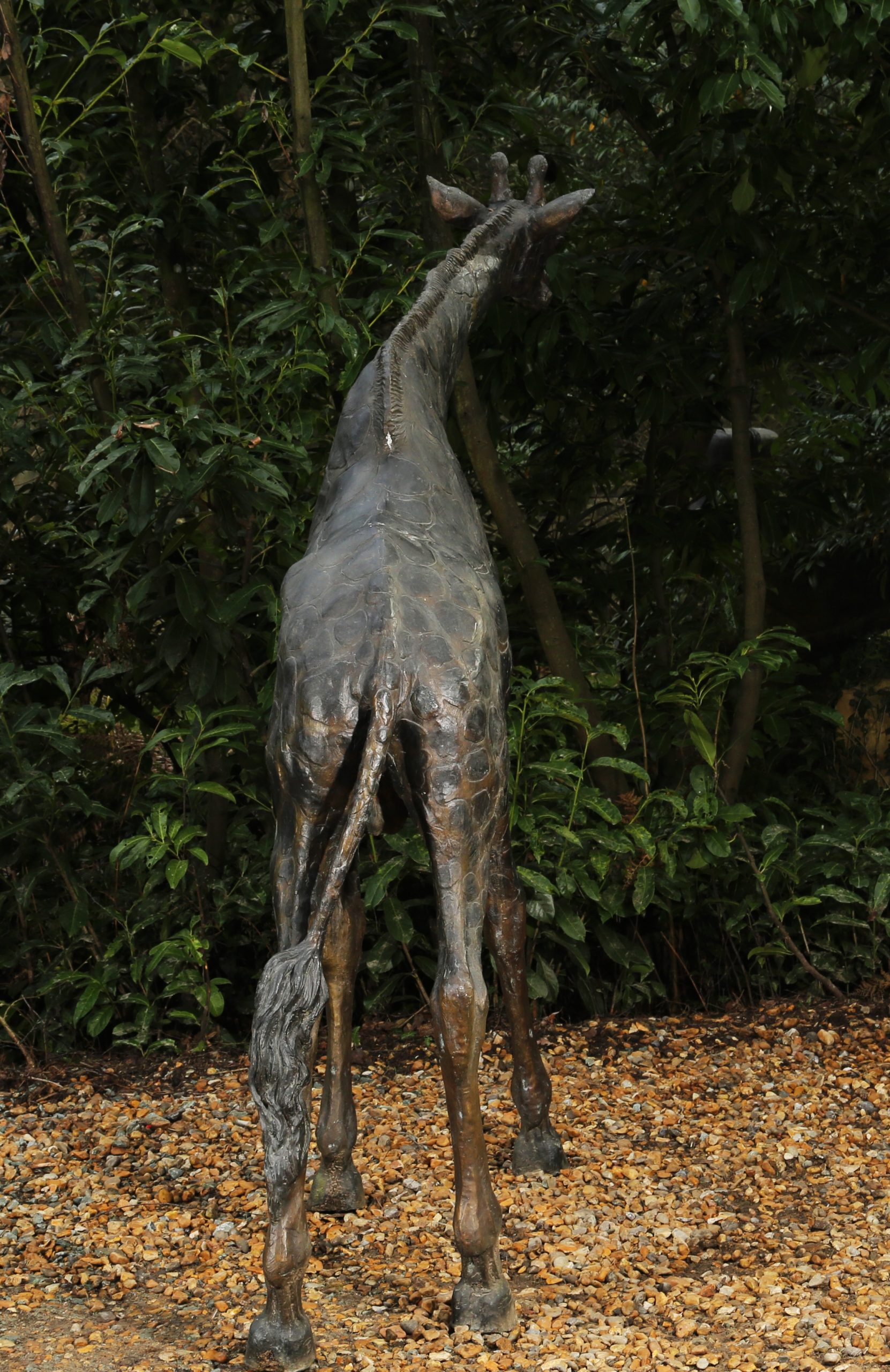 Large Bronze Giraffe Sculpture - Giraffe I - Image 2