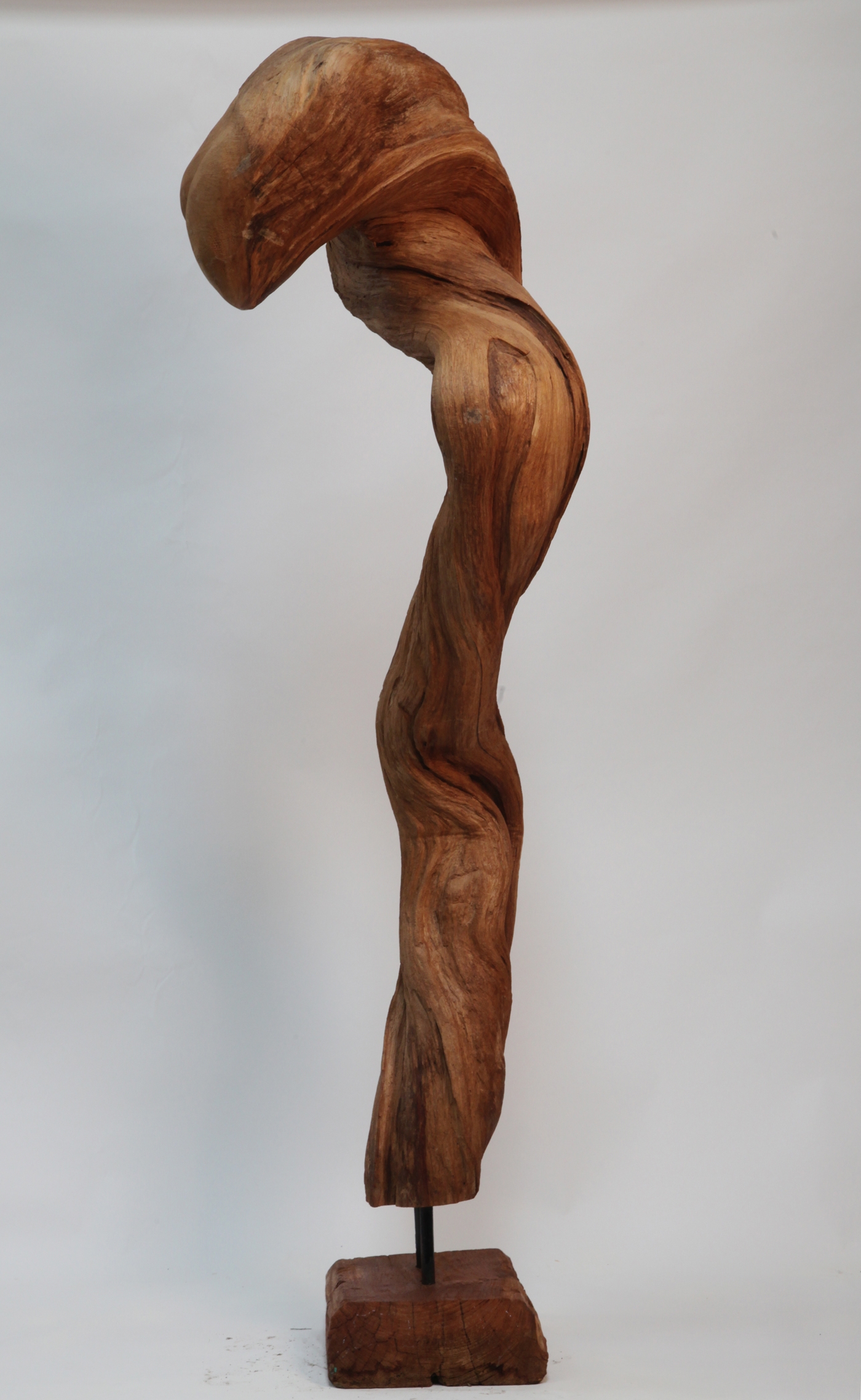 Natural formed tall thin teak hard wood sculpture, with a twist at the top.