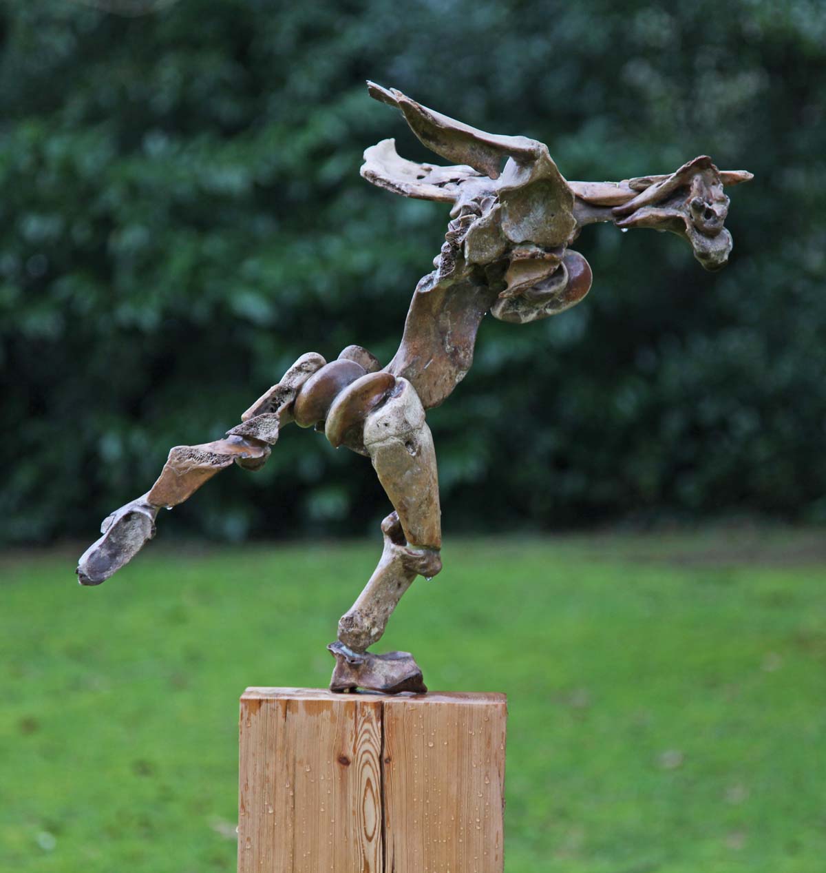 A abstract bone sculpture of a figure pieced together using salvaged bones in mid run.