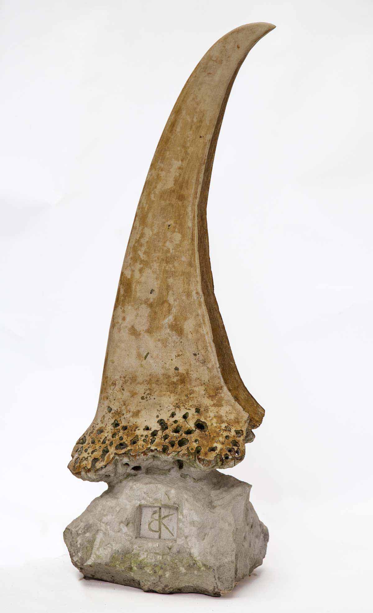 A abstract stone sculpture of a large tusk carved out of a rock.