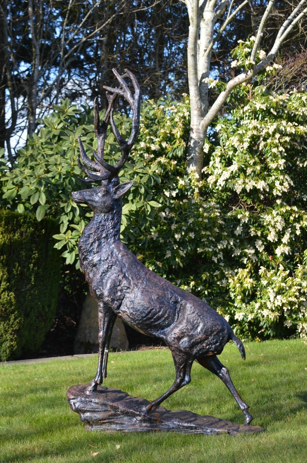 Stag Standing on Craggy Rock by Anon Unknown - Image 2