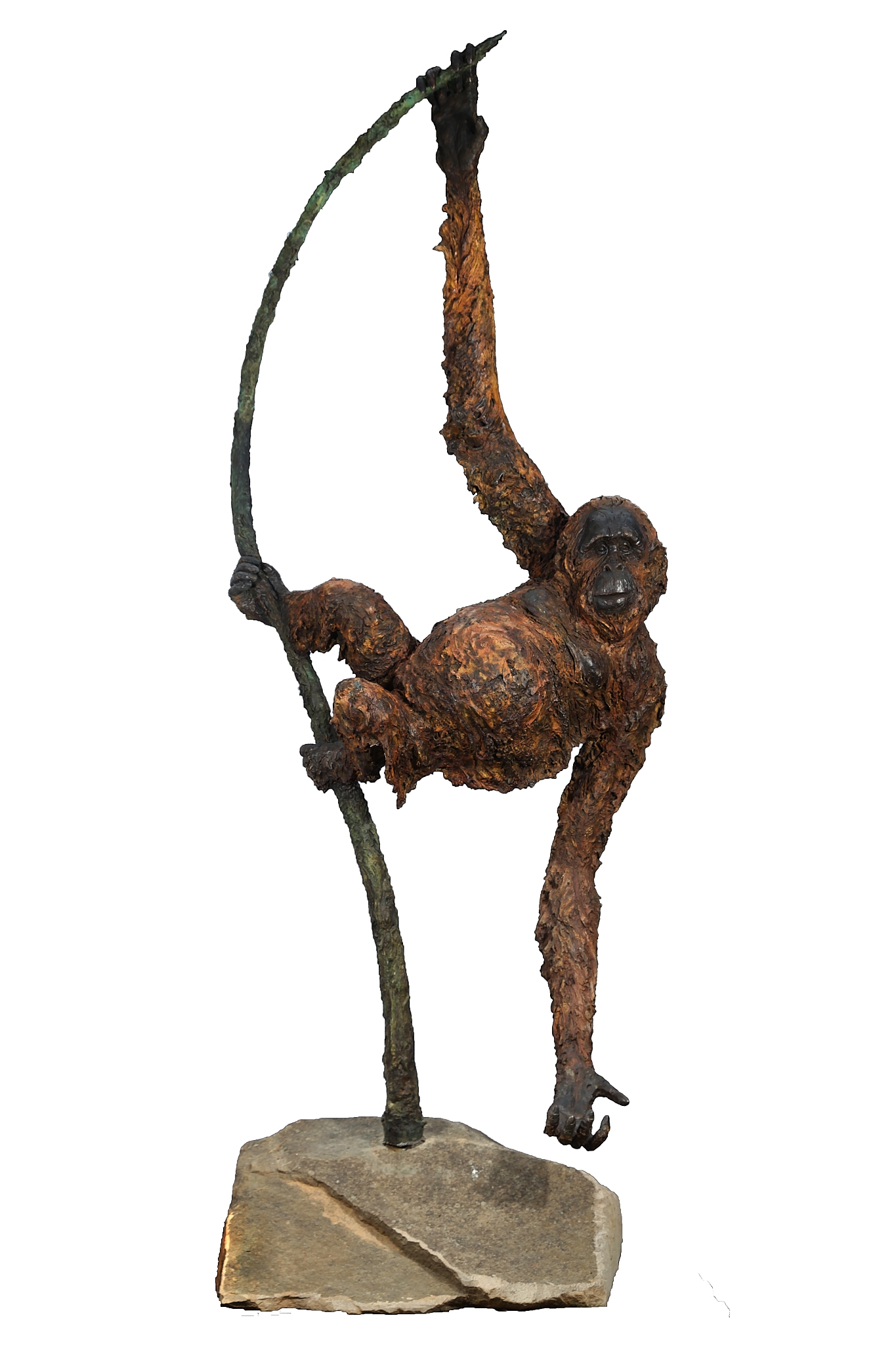 A bronze realistic sculpture of an Orangutan.