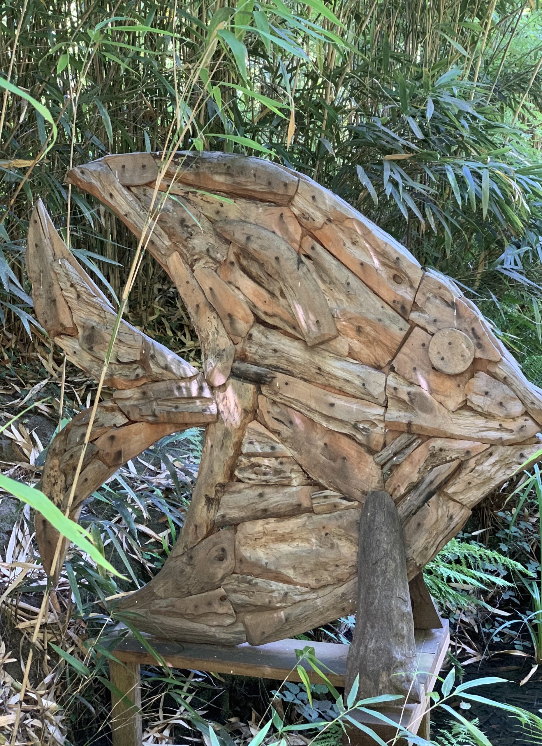 Monumental Wooden Aquatic Sculpture - Driftwood Fish (Unique) - Image 2