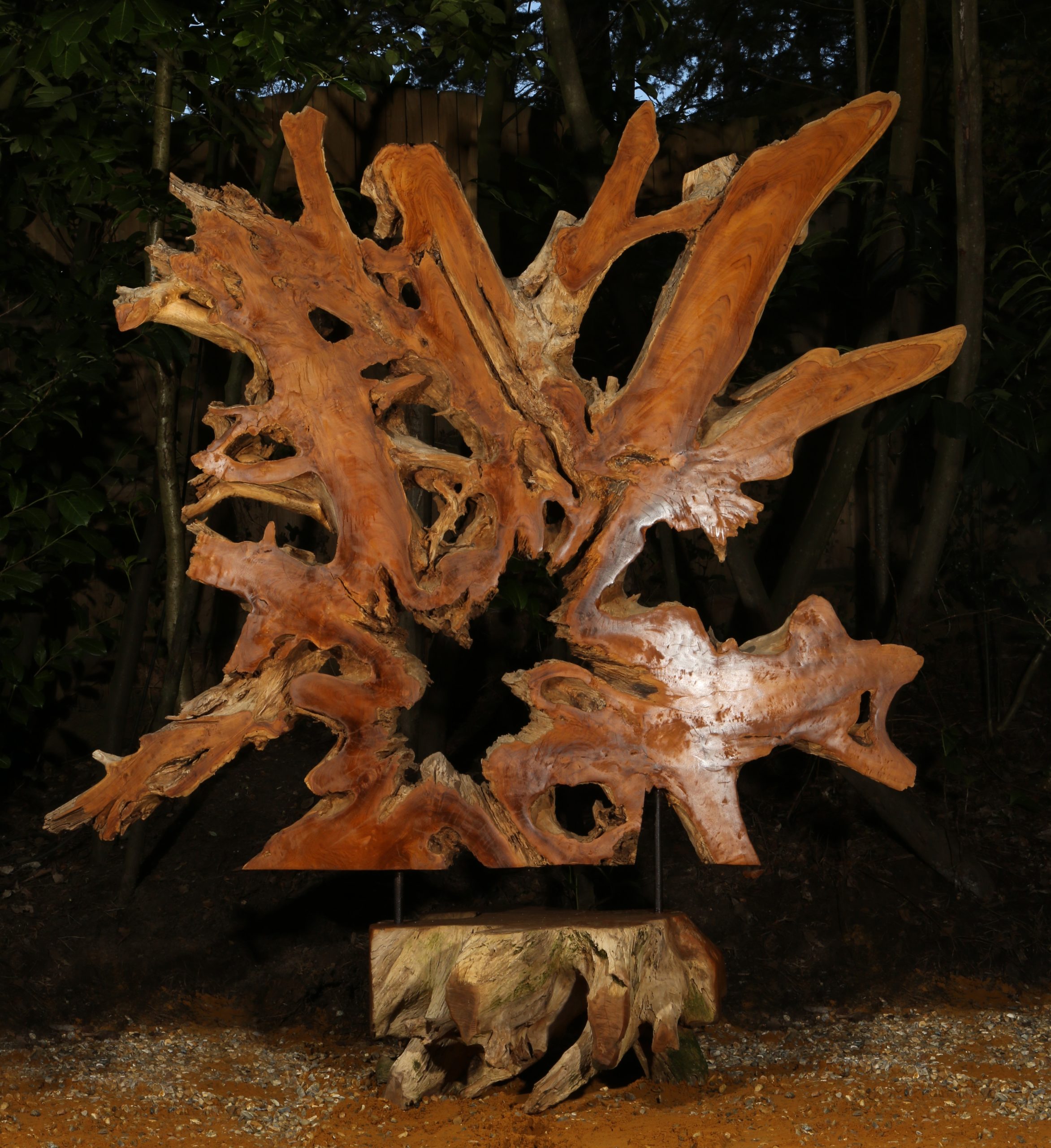 Monumental Tree Sculpture - Root Cutout On Base by Mother Nature (Unique) - Image 4