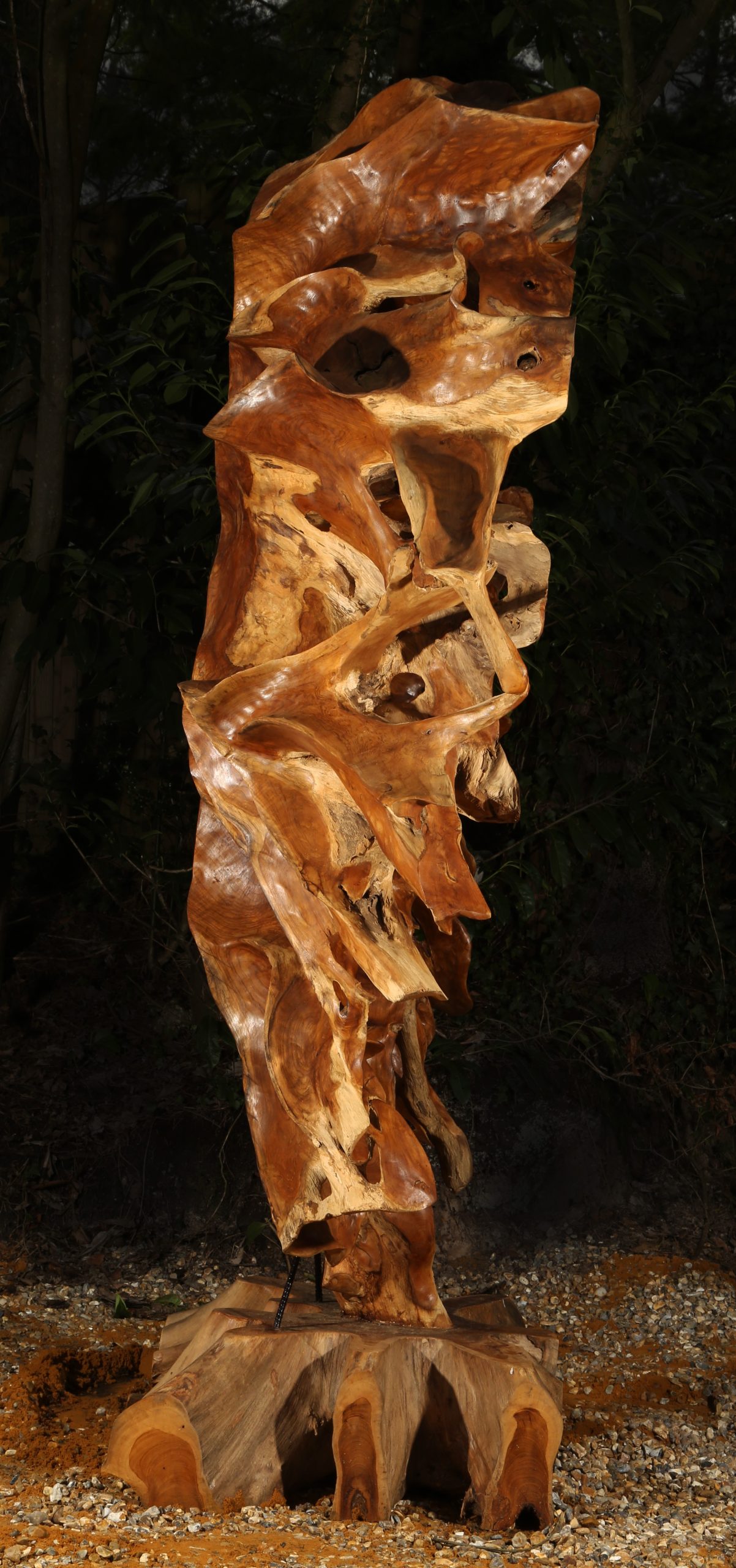 Monumental Tree Root Sculpture - Root Sculpture I by Mother Nature (Unique) - Image 3