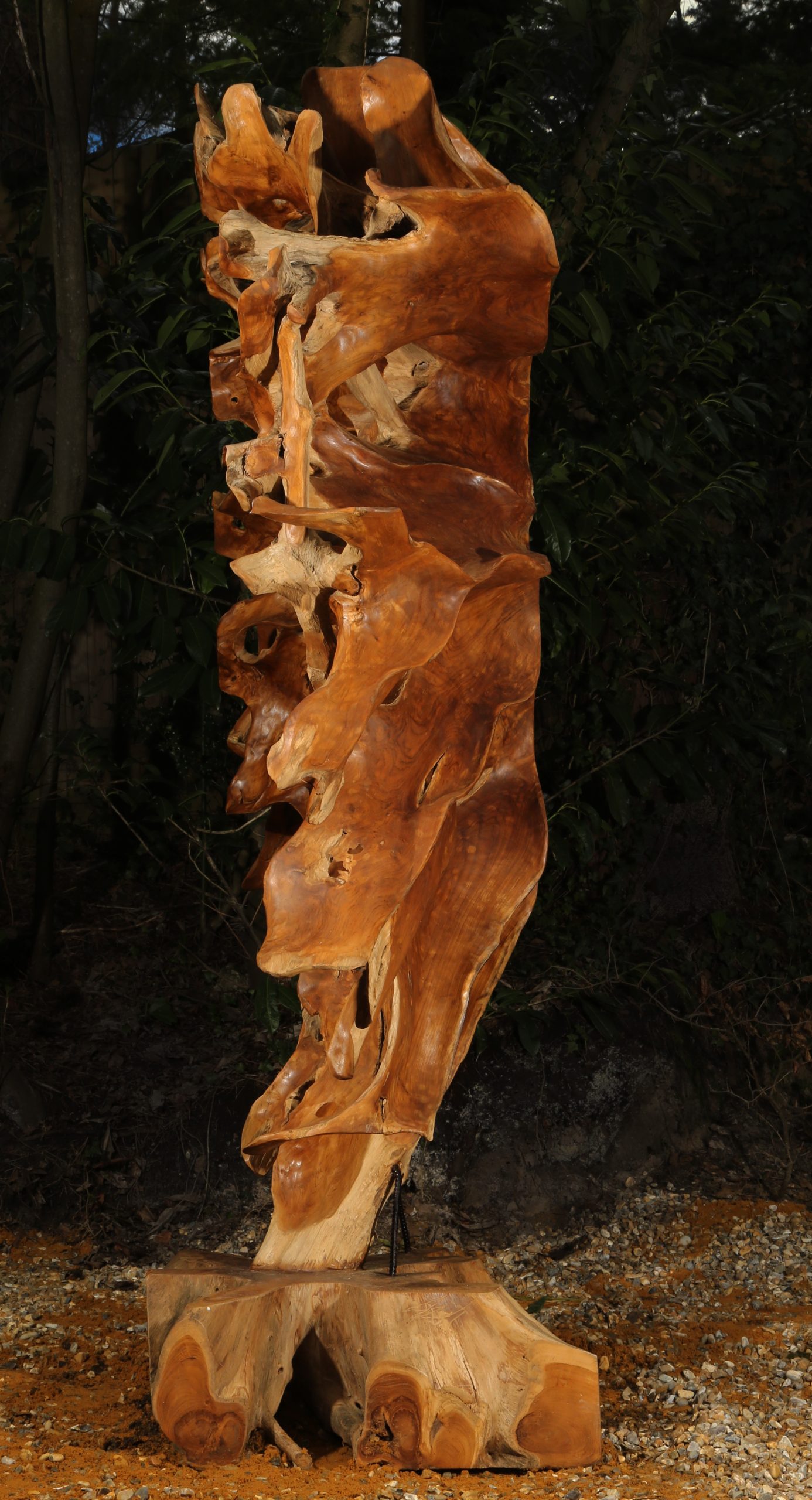 Monumental Tree Root Sculpture - Root Sculpture I by Mother Nature (Unique) - Image 2
