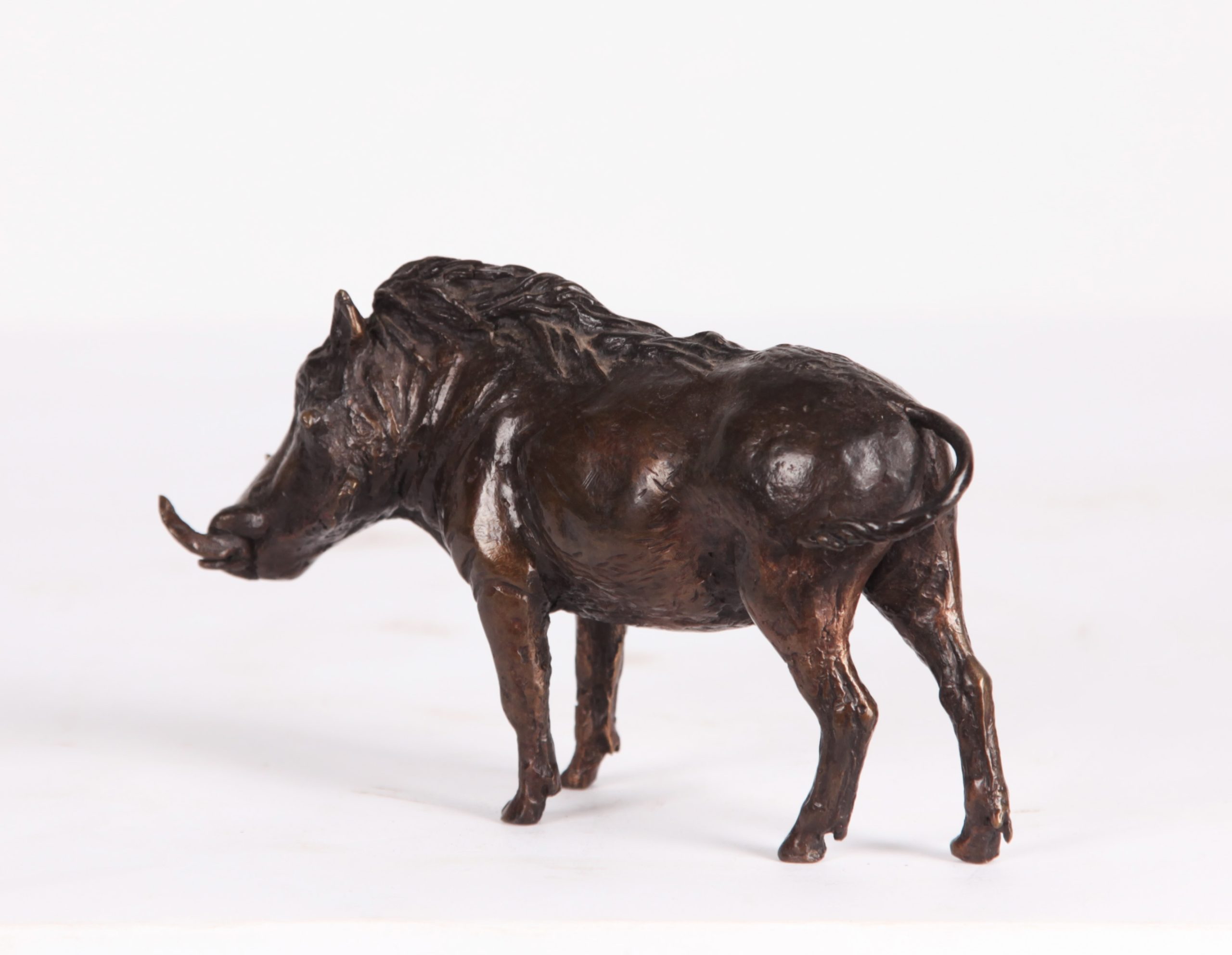 Small Bronze Animal Sculpture - Warthog by Muhmood Tahir (Edition of 75) - Image 3