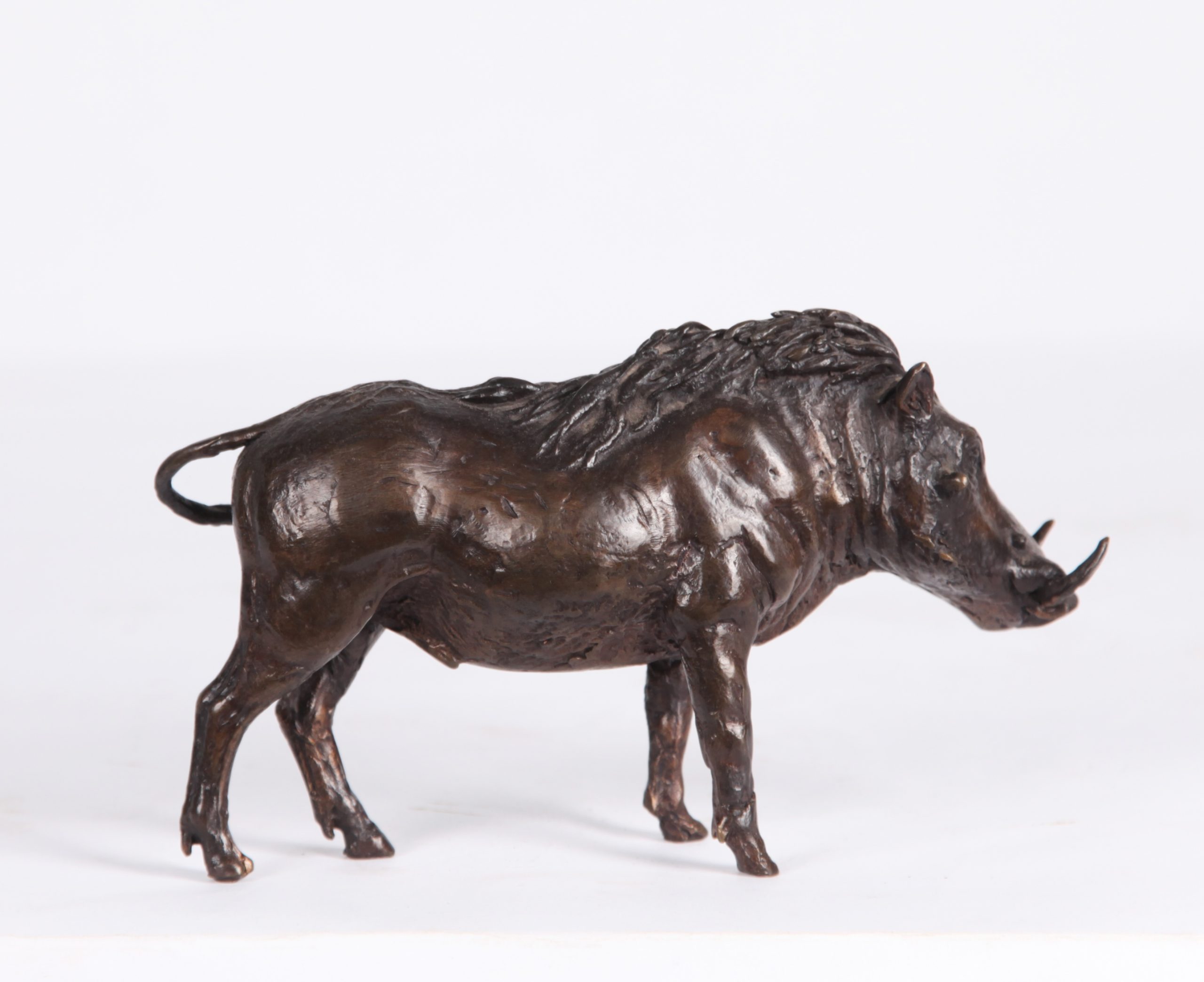 Small Bronze Animal Sculpture - Warthog by Muhmood Tahir (Edition of 75) - Image 4