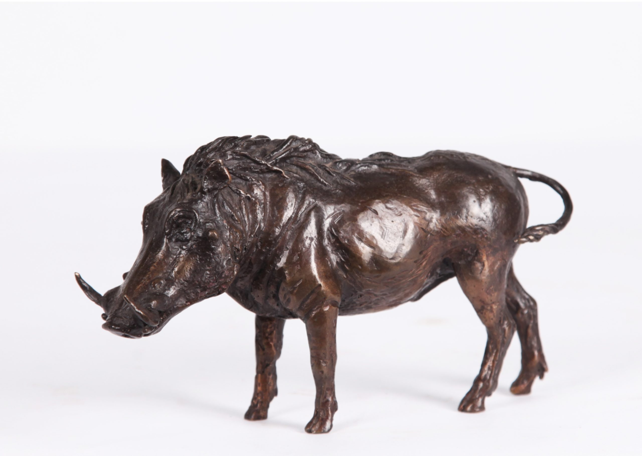 Small Bronze Animal Sculpture - Warthog by Muhmood Tahir (Edition of 75) - Image 5