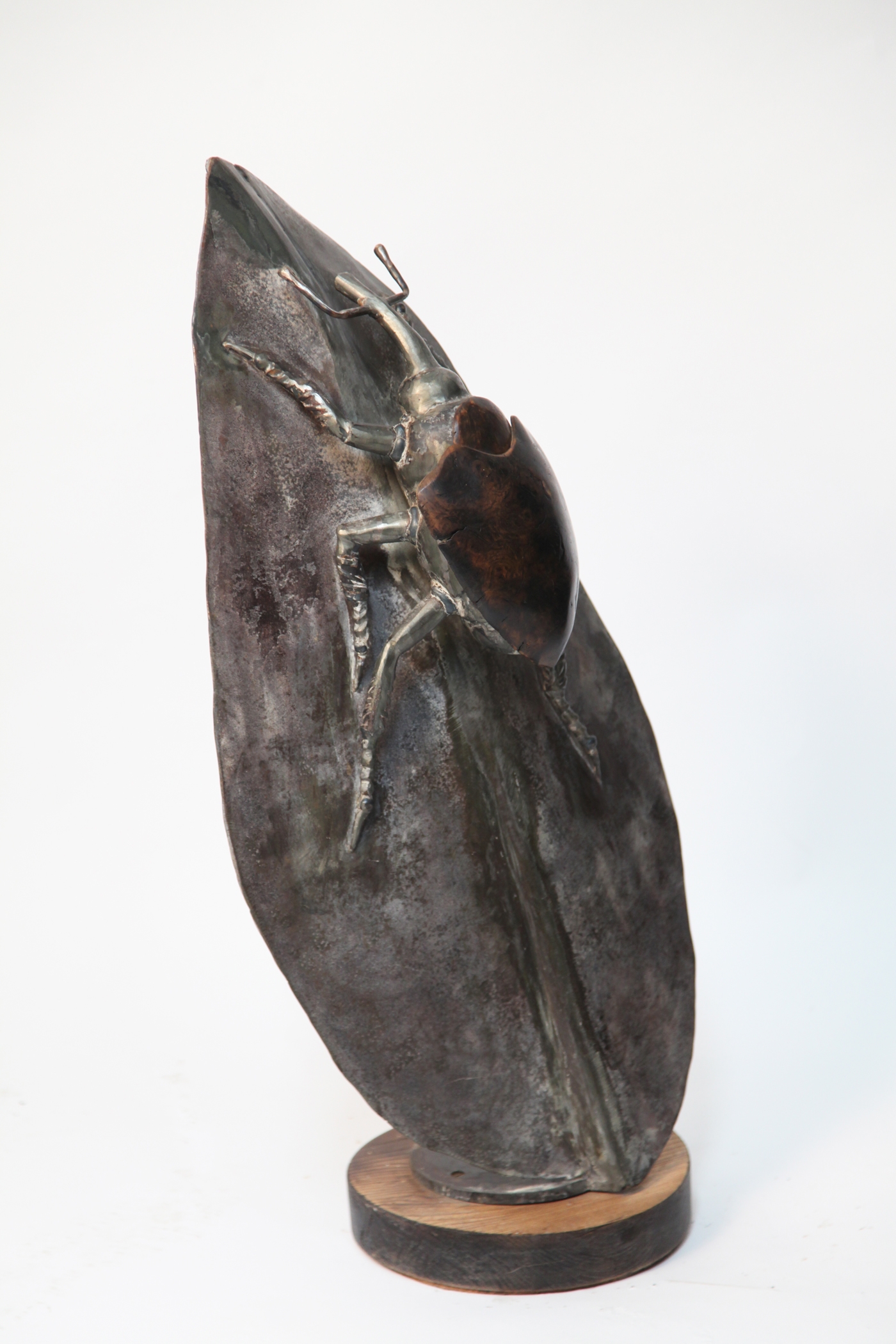 A bronze sculpture of a shield weevil on a leaf, mounted onto a wooden circle.