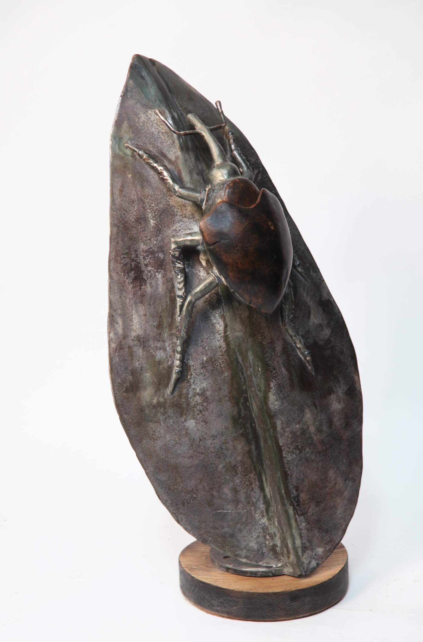 A bronze sculpture of a shield weevil on a leaf, mounted onto a wooden circle.