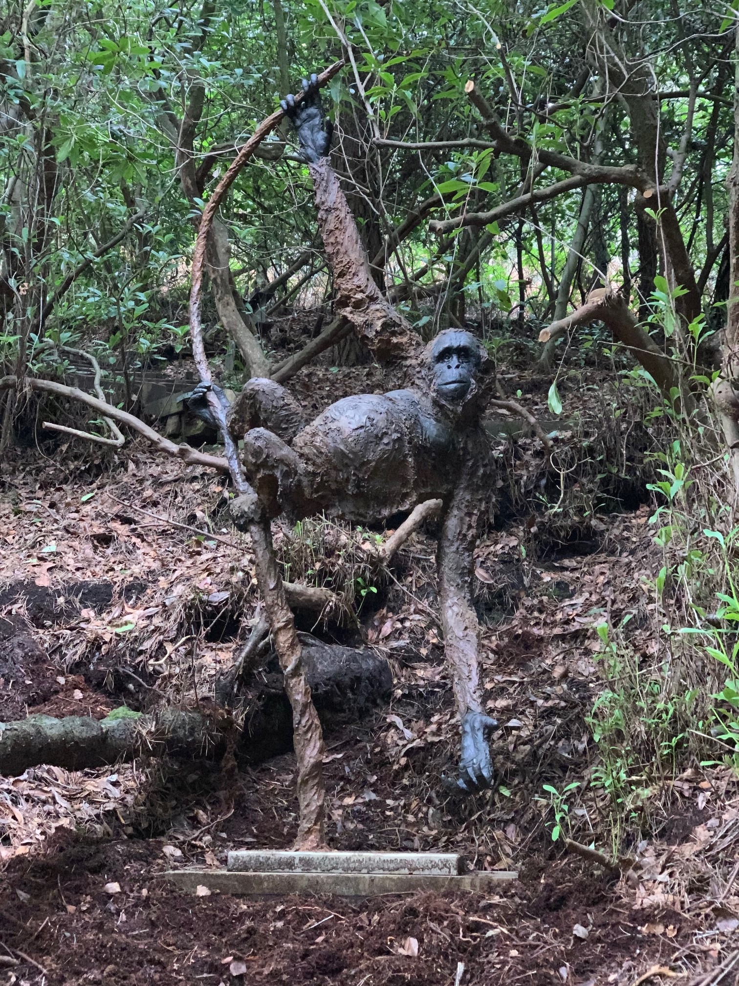 A bronze realistic sculpture of an Orangutan.