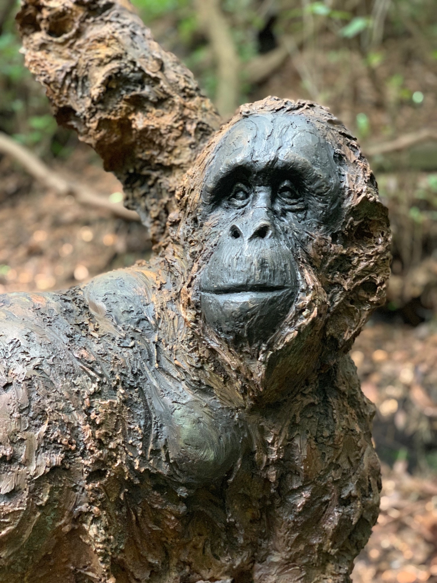 A bronze realistic sculpture of an Orangutan.