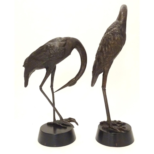 Pair of two bronze Cranes, One standing on one leg, the other standing on both legs.