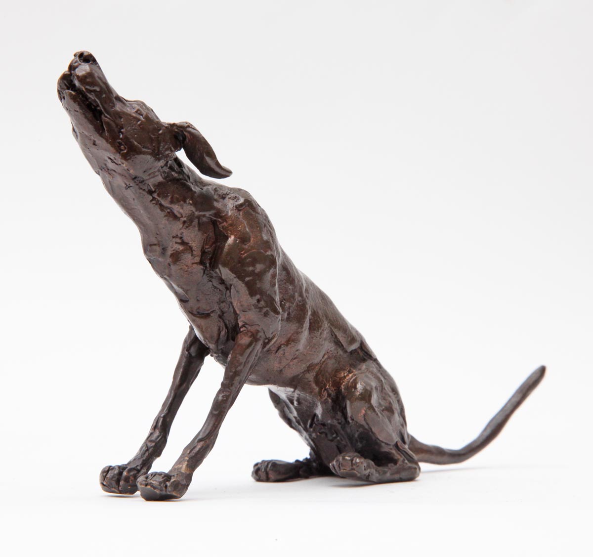 Small Bronze Figurative Animal Sculpture - Howling Dog by Paul Jenkins - Image 2