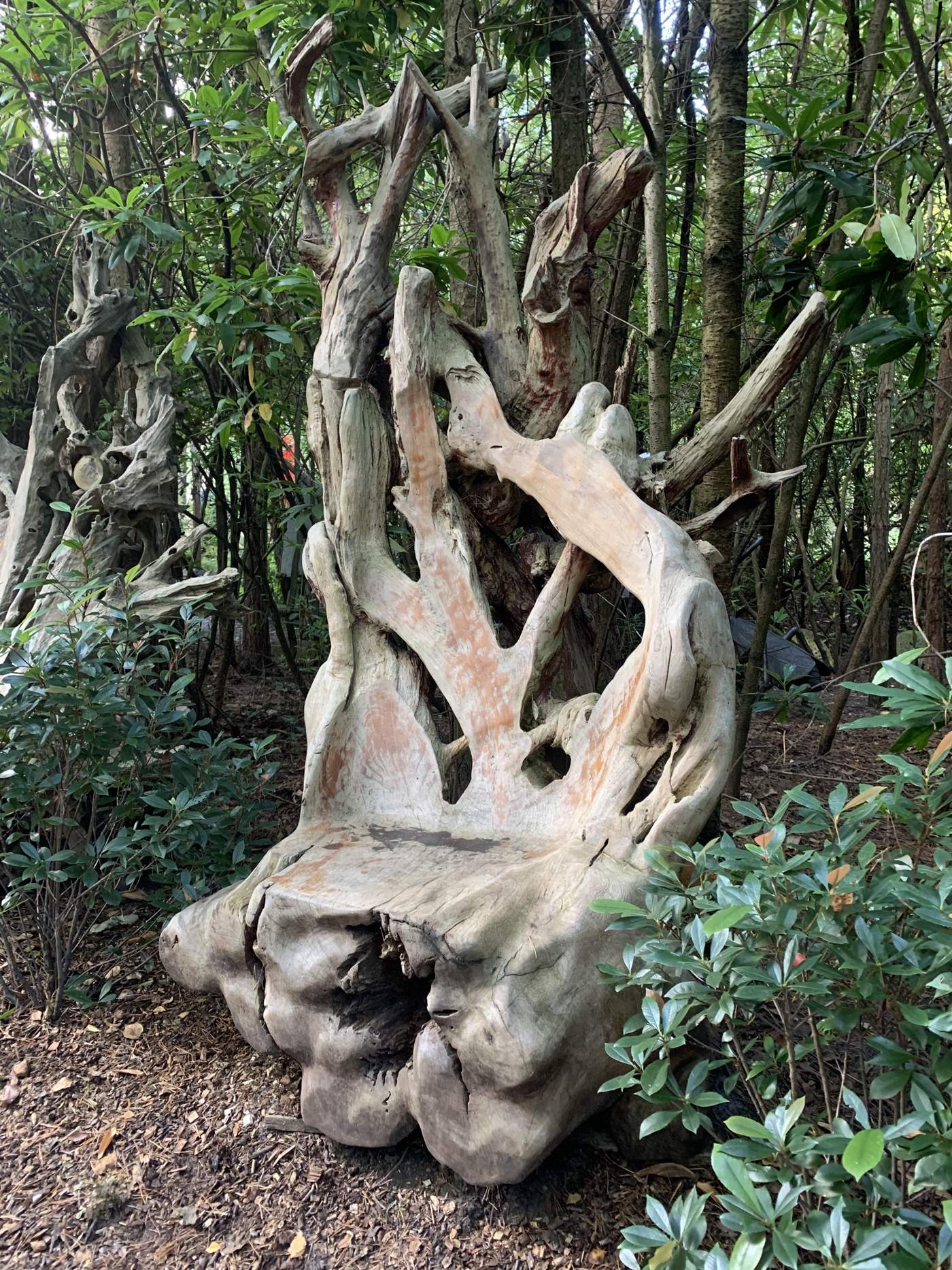 A furniture teak wood sculpture of a large chair made from a tree root.