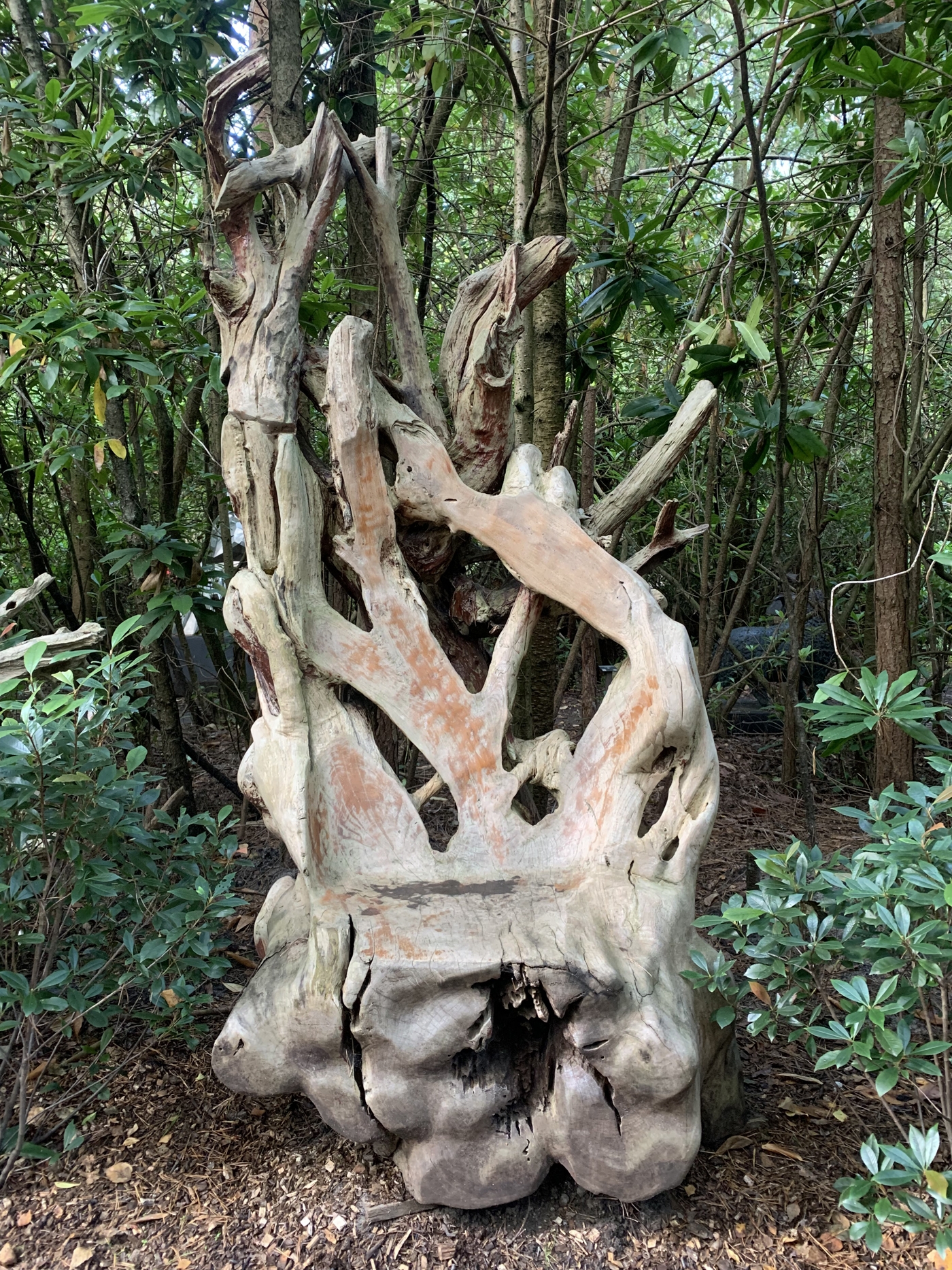 A furniture teak wood sculpture of a large chair made from a tree root.
