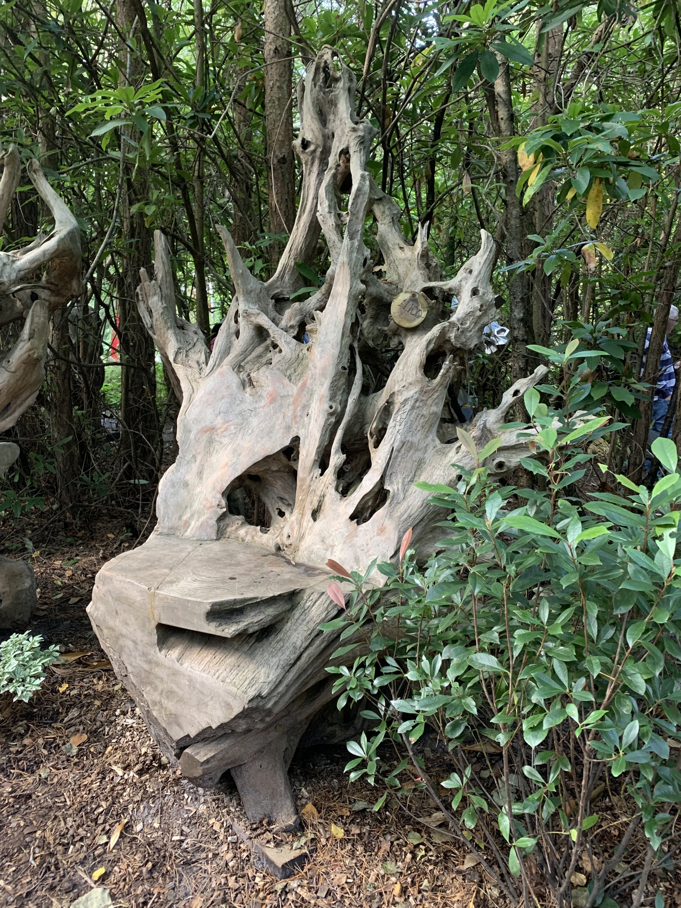 A furniture teak wood sculpture of a large chair made from a tree root.