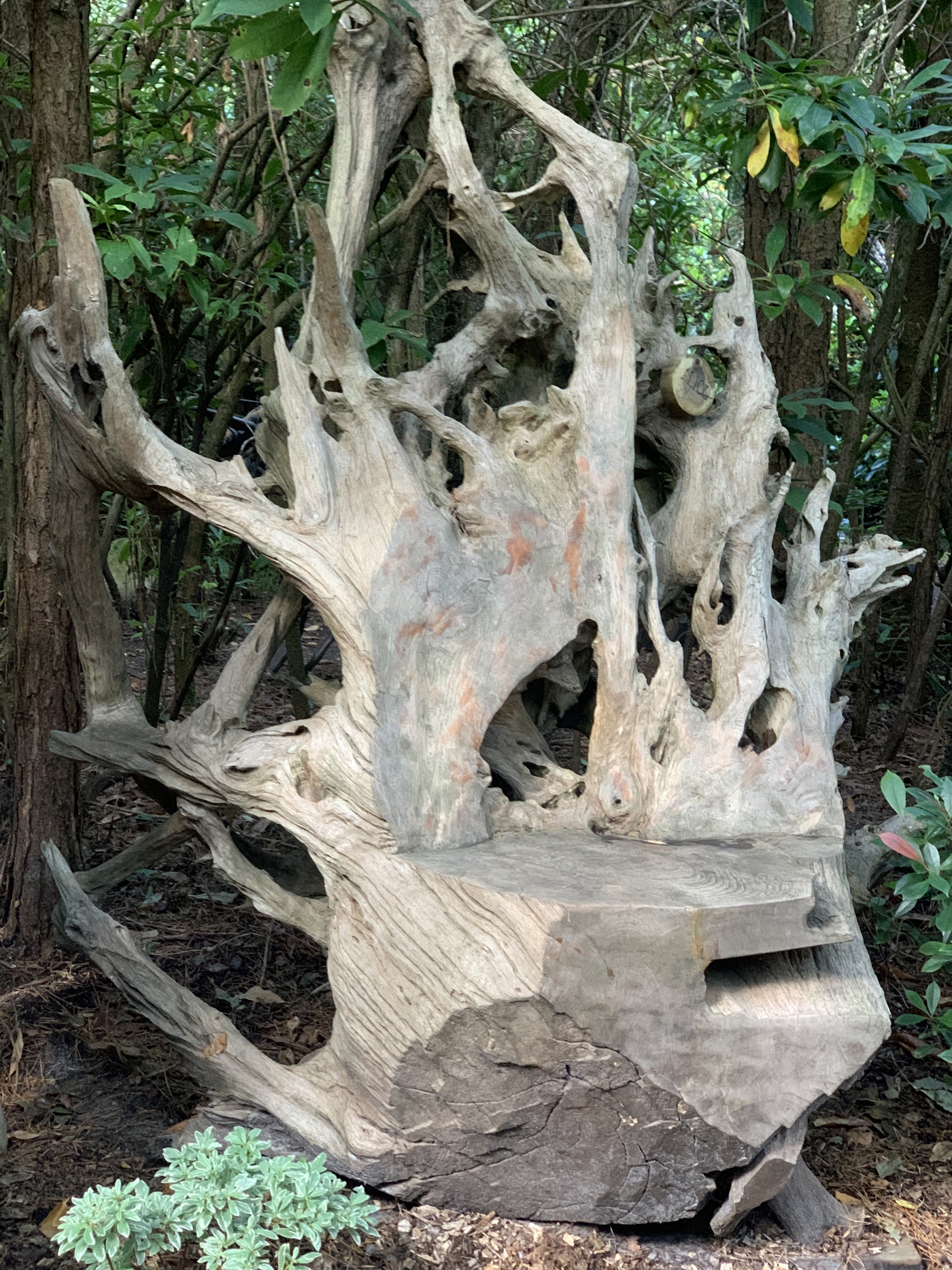 A furniture teak wood sculpture of a large chair made from a tree root.