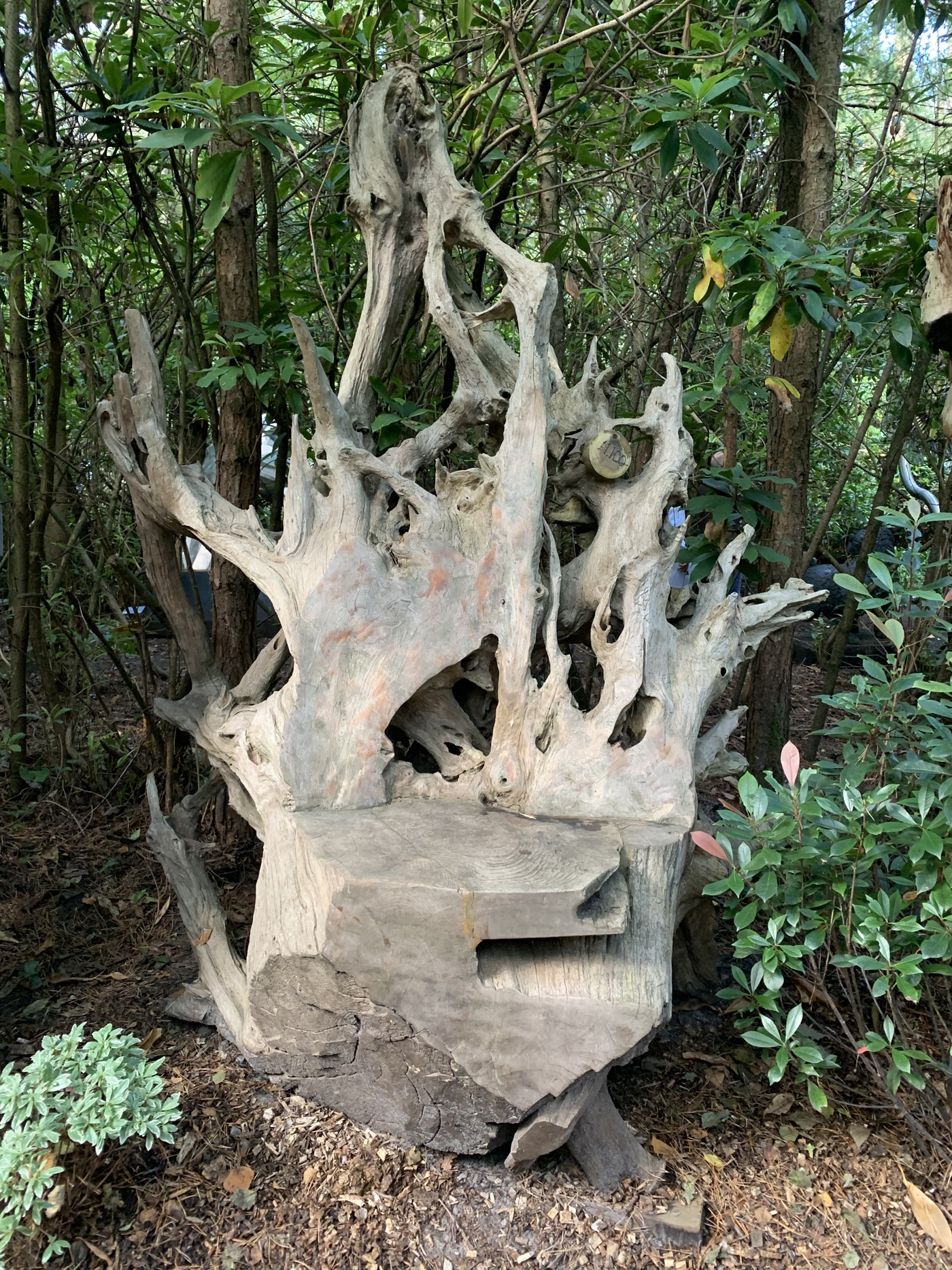 A furniture teak wood sculpture of a large chair made from a tree root.