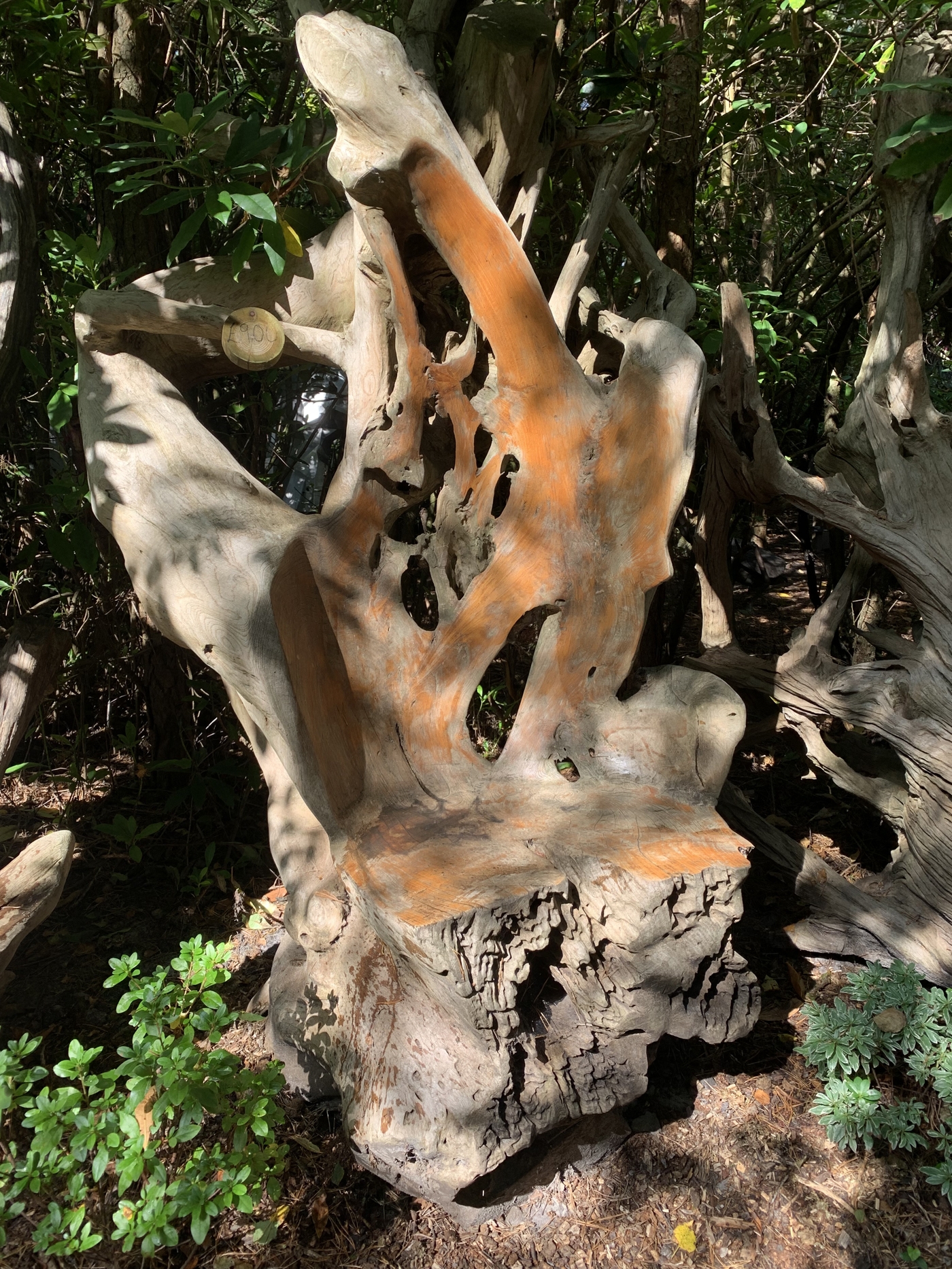 A furniture teak wood sculpture of a large chair made from a tree root.