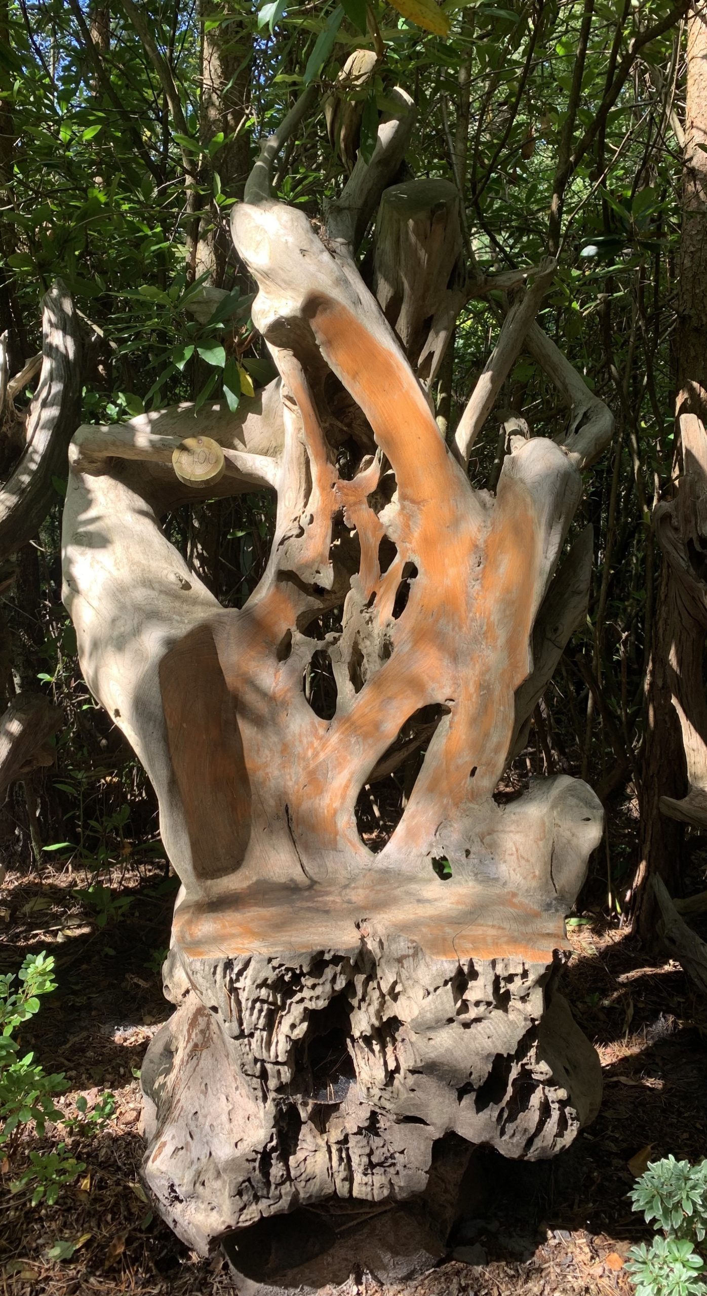 A furniture teak wood sculpture of a large chair made from a tree root.