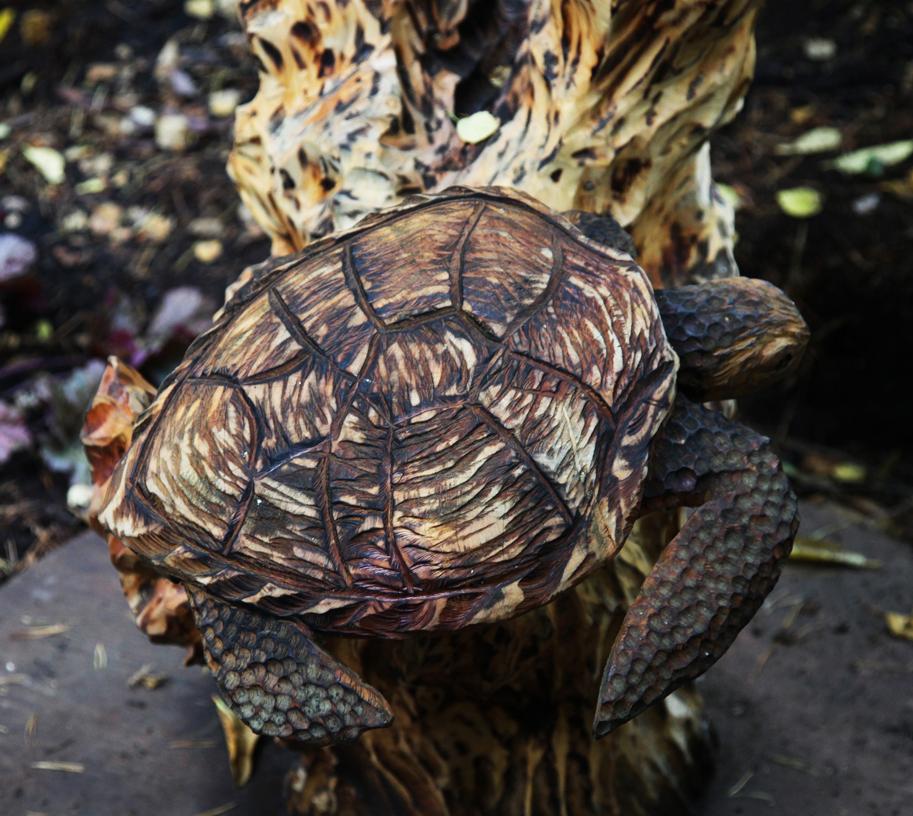 Chainsaw Carved Wooden Sculpture of Turtles Swimming in the Sea amongst Seaweed