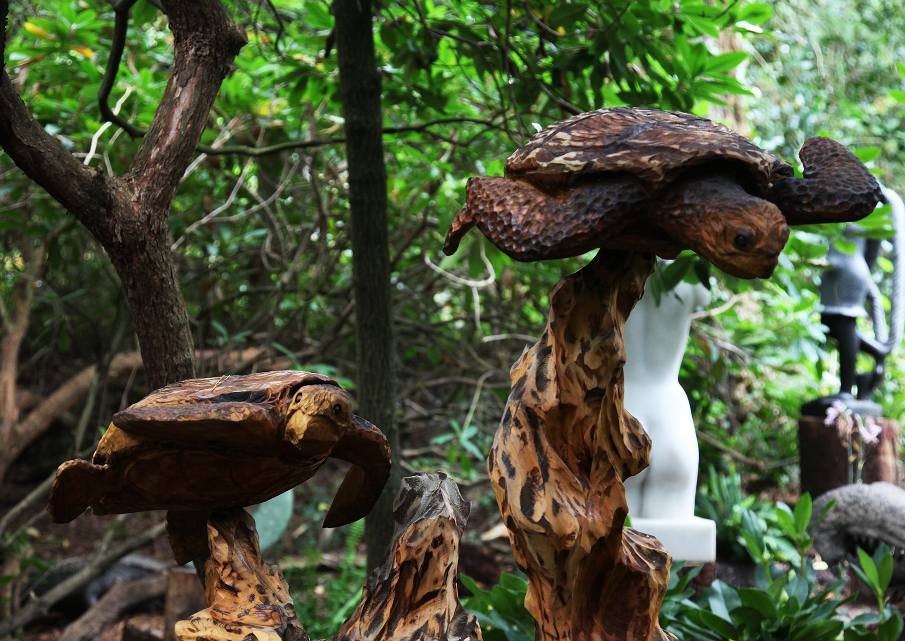 Chainsaw Carved Wooden Sculpture of Turtles Swimming in the Sea amongst Seaweed