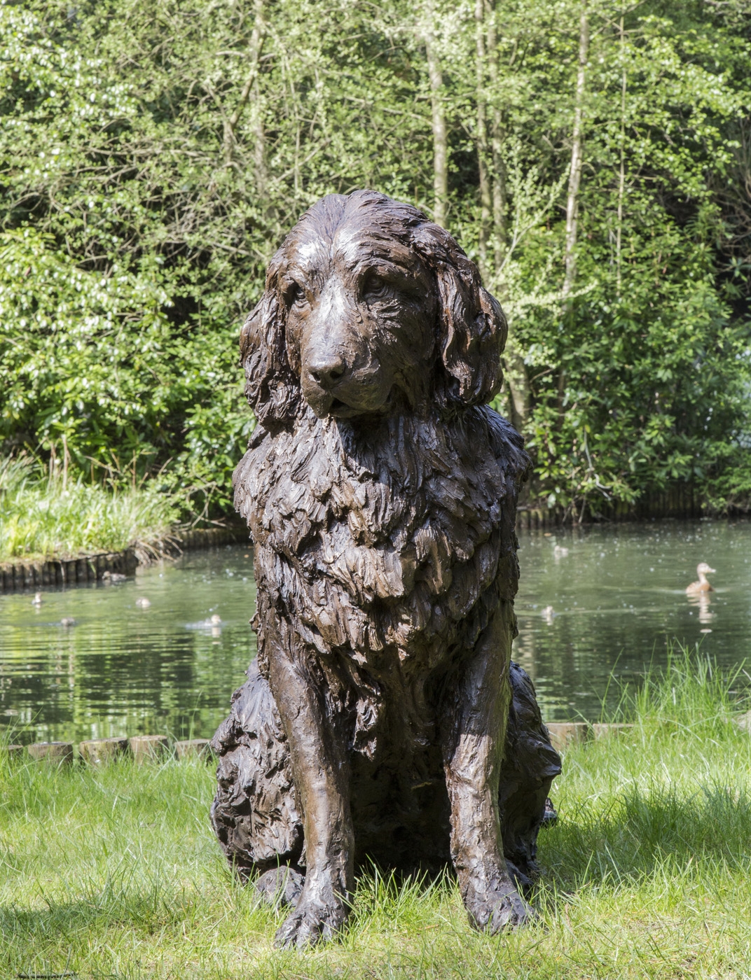 A realism bronze resin sculpture of a newfoundland dog sitting.