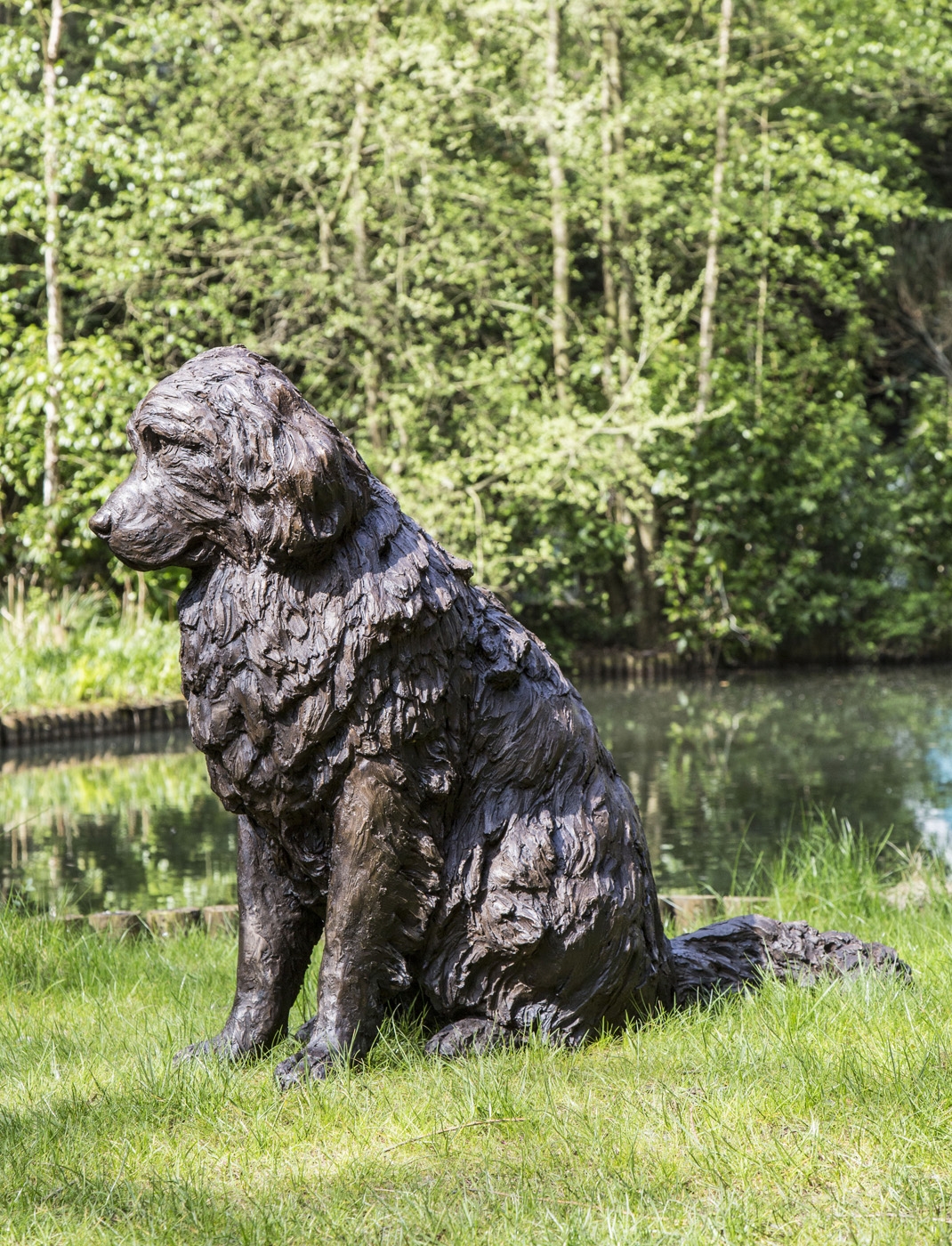A realism bronze resin sculpture of a newfoundland dog sitting.