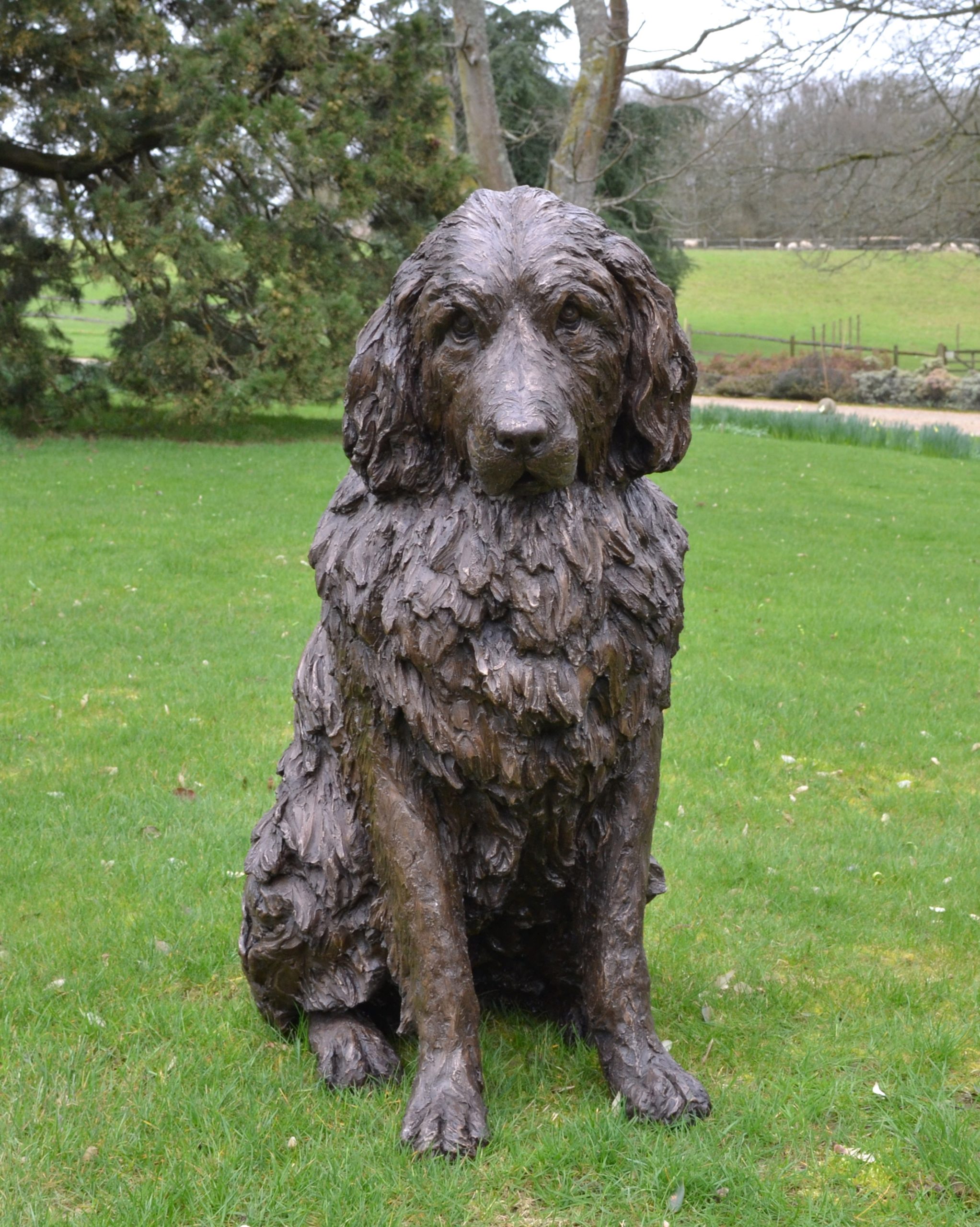 A realism bronze resin sculpture of a newfoundland dog sitting.