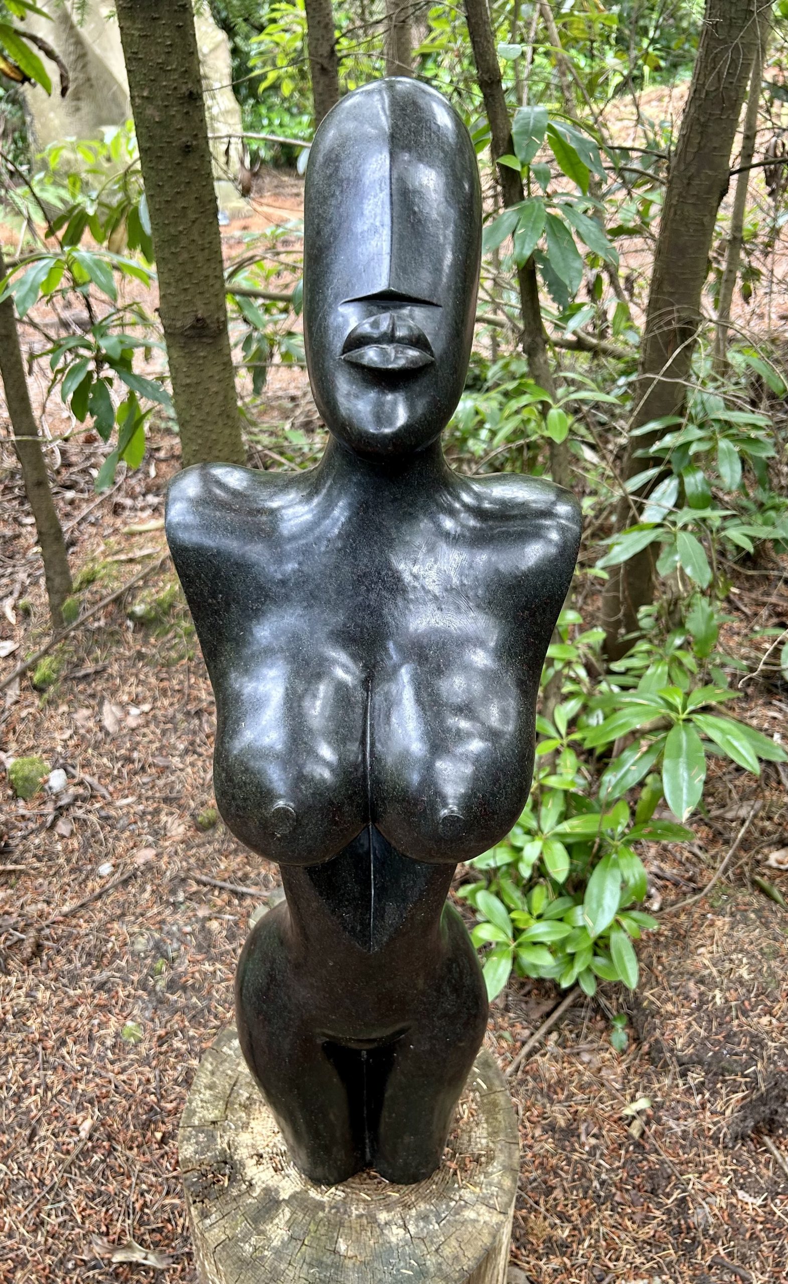 Free Spirit by Tendai Kapfudze - Image 2