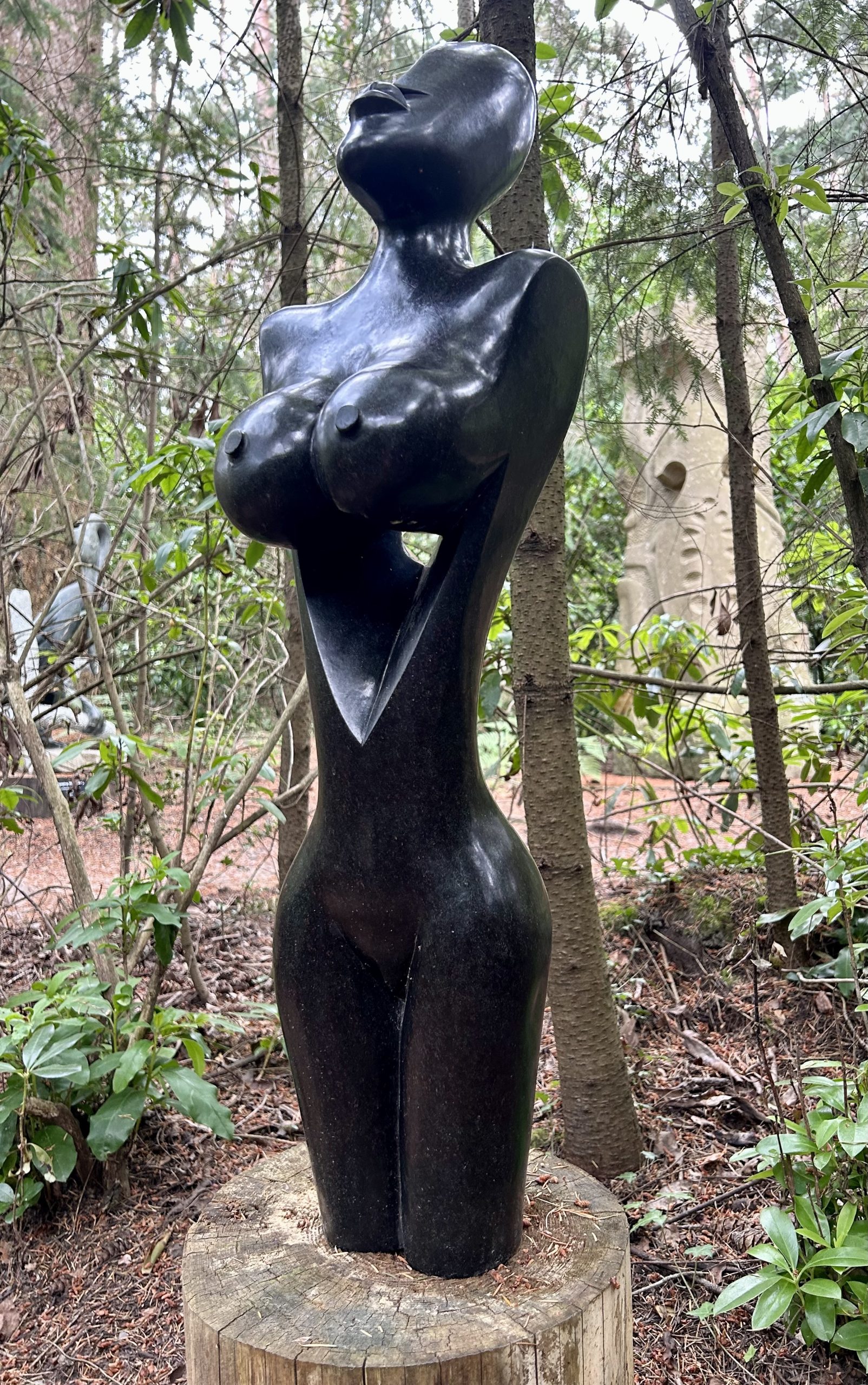 Free Spirit by Tendai Kapfudze - Image 4