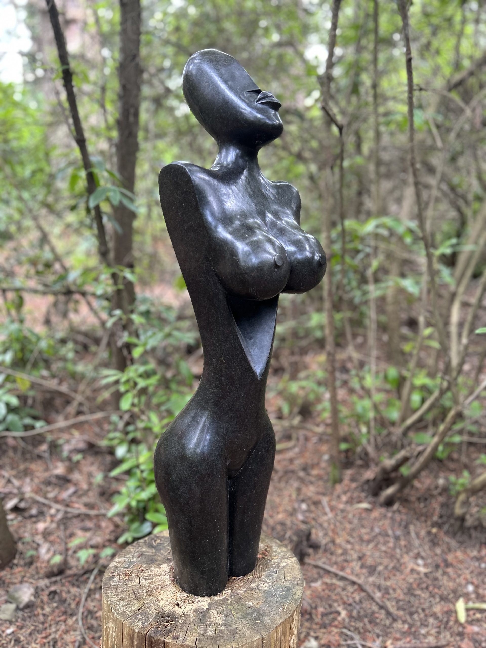 Free Spirit by Tendai Kapfudze - Image 3