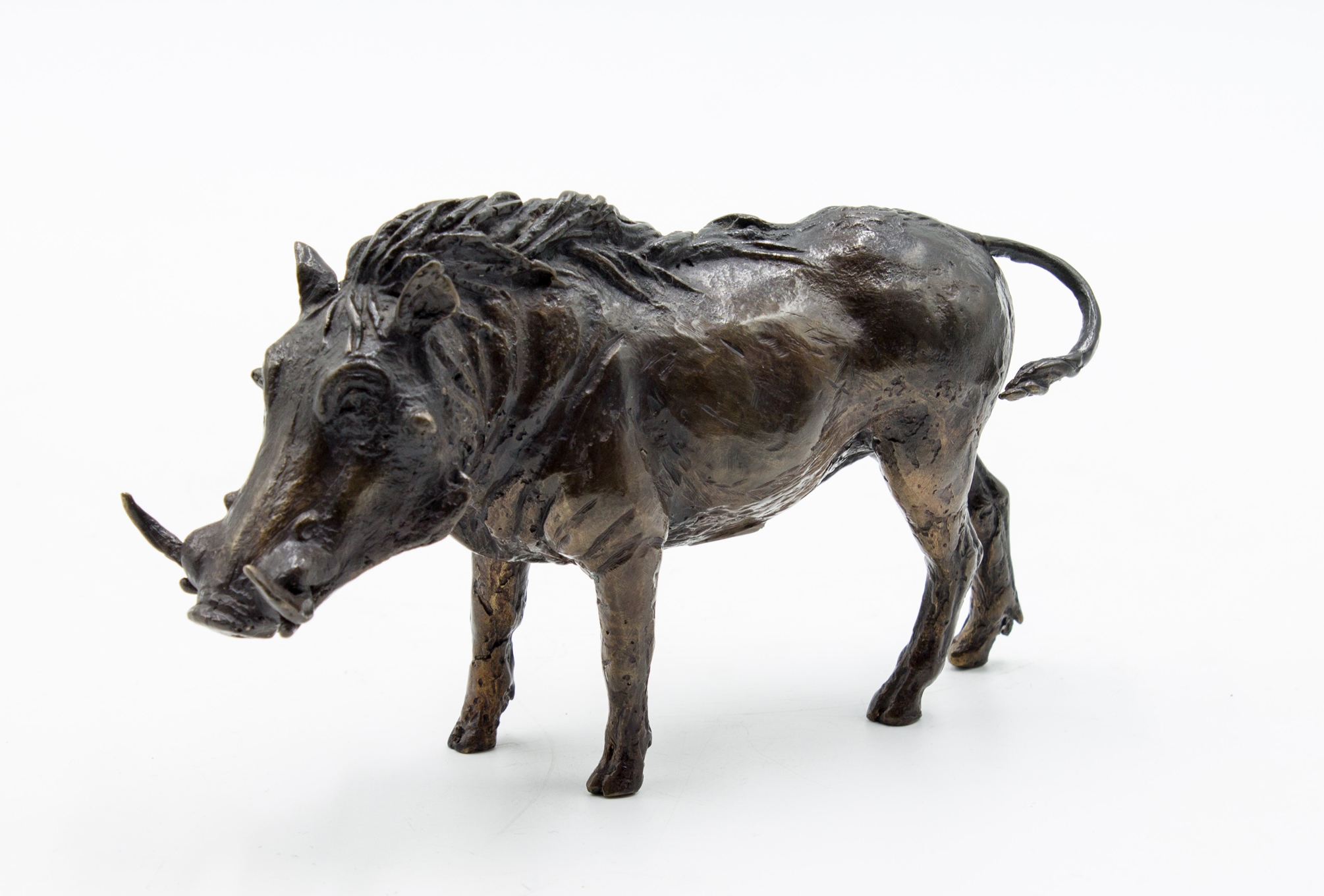 Small Bronze Animal Sculpture - Warthog by Muhmood Tahir (Edition of 75) - Image 2